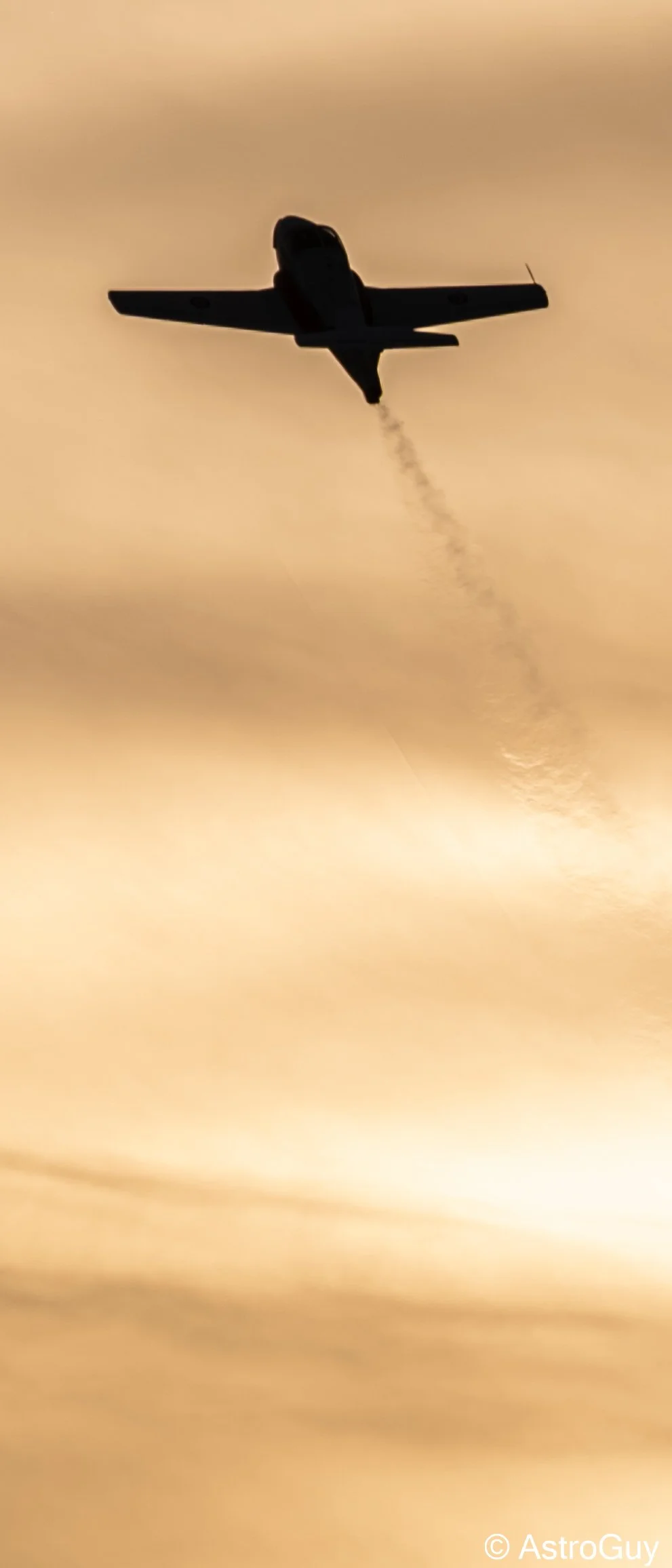 aero gatineau 2025 snowbirds-20.jpg
