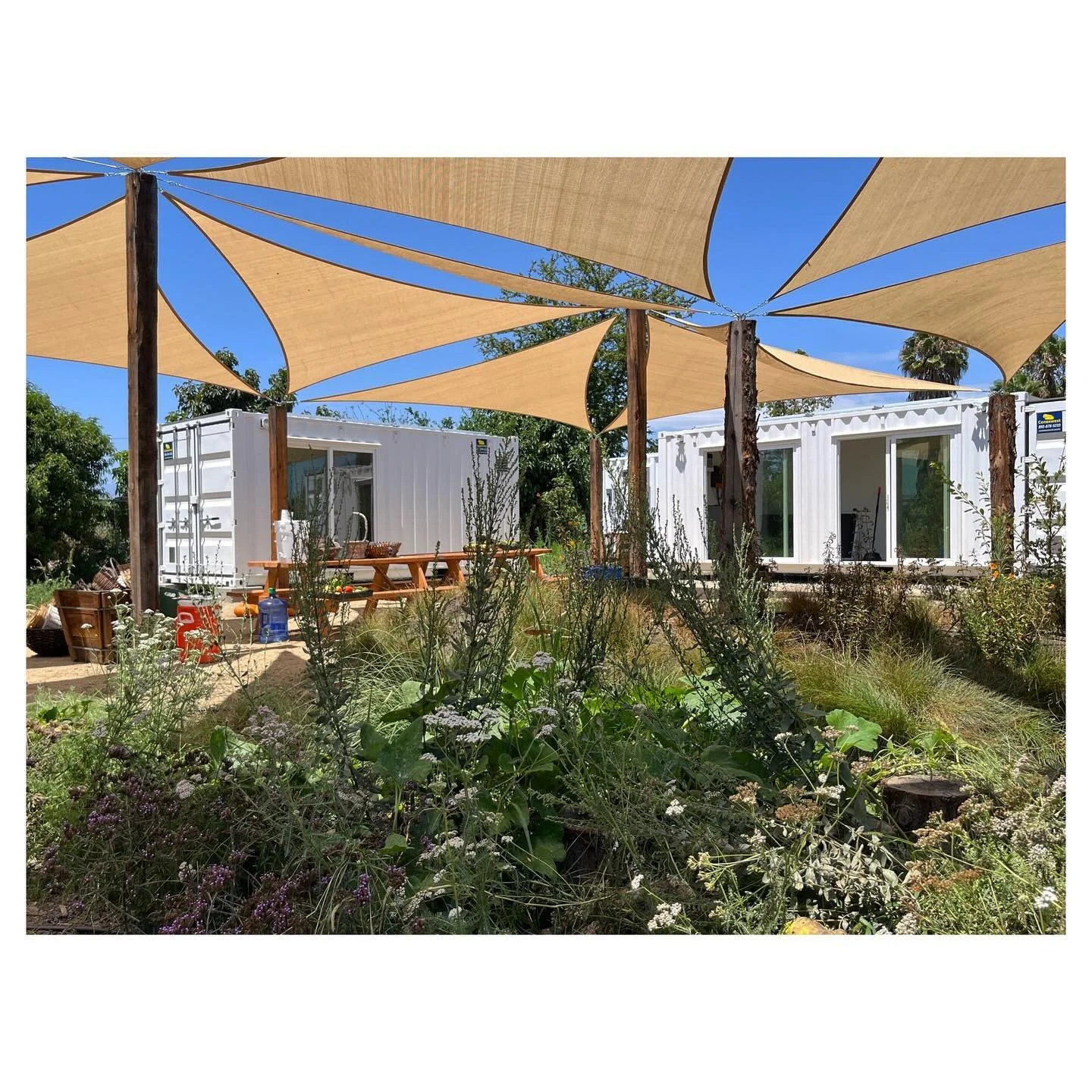 Studio Moonya has been deeply grateful to be collaborating with @cultivala1 , a Los Angeles non-profit org who creates urban agriculture spaces in under-resourced neighborhoods that offer BOTH green space and social services. &quot;In unique partners