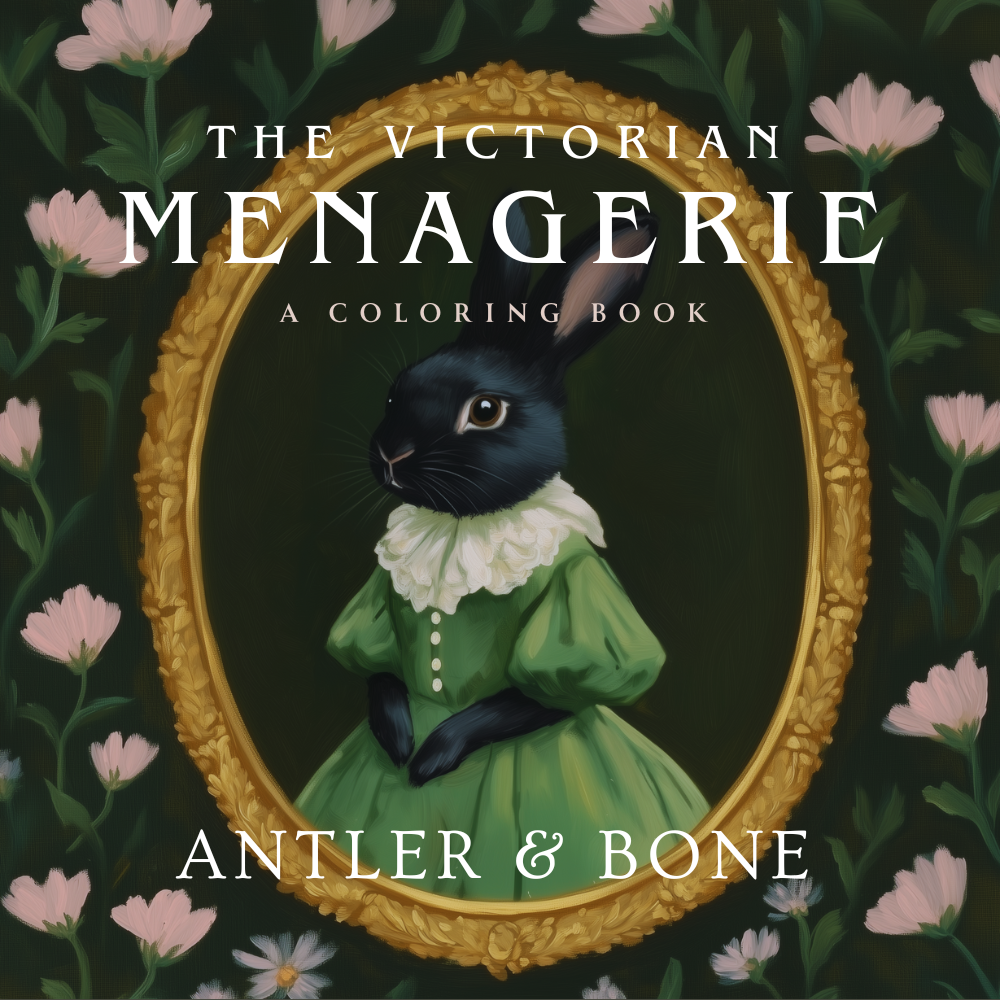 Antler & Bone