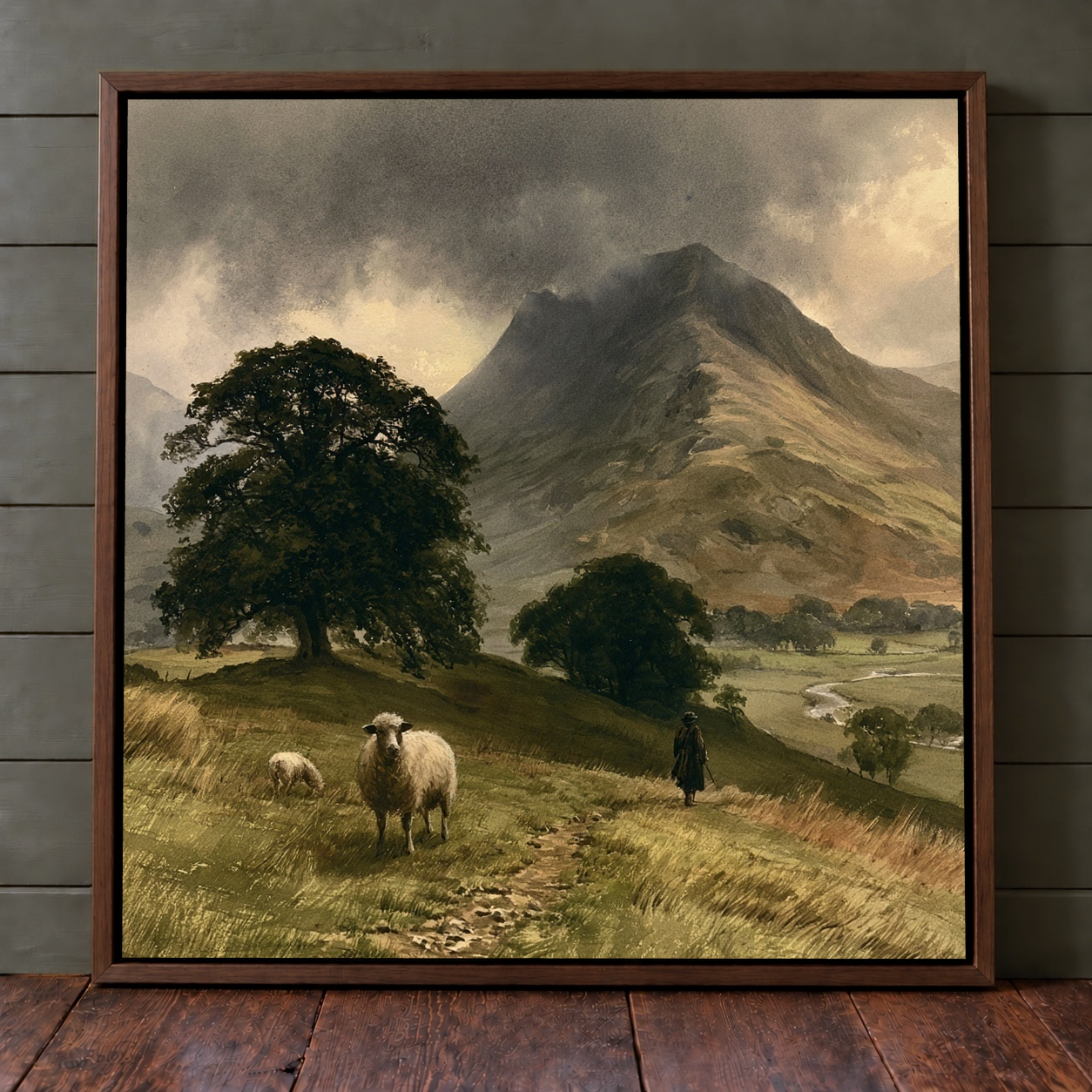 Highland Sheep