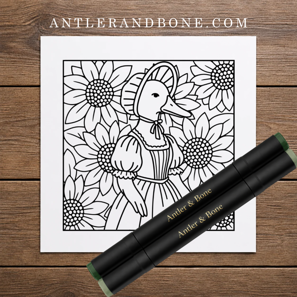 Coloring Book Features.png