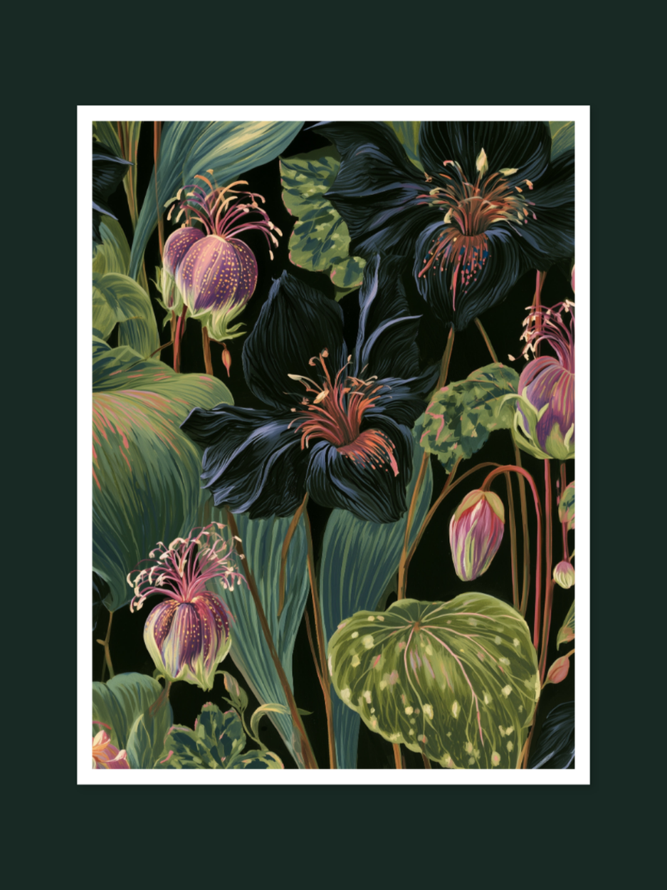 Bat Flower 1296