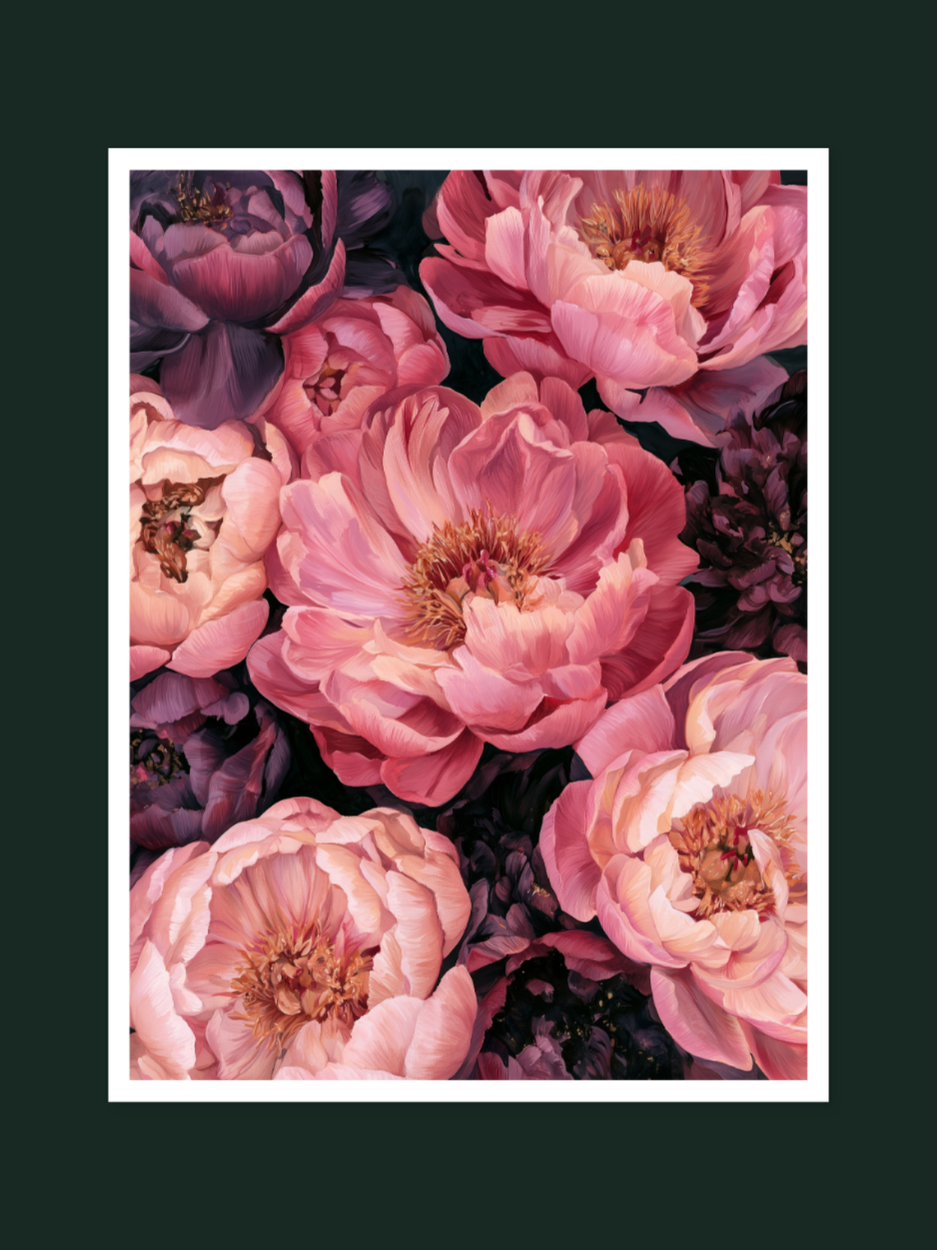 Peony 1146