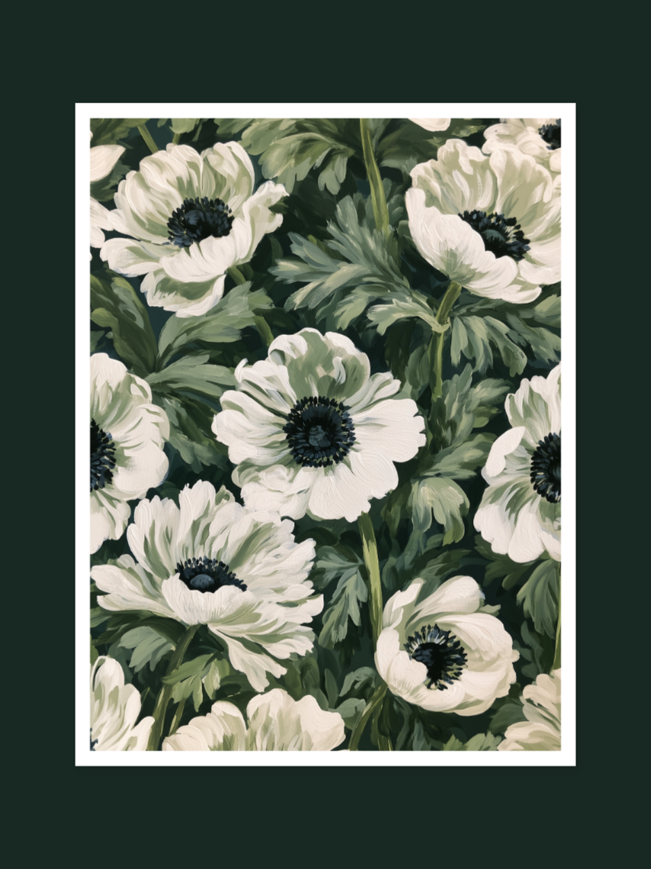 Anemone 1724