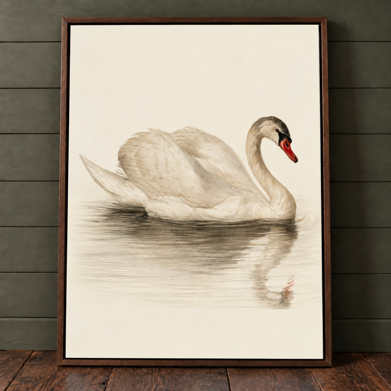 Study of Swans