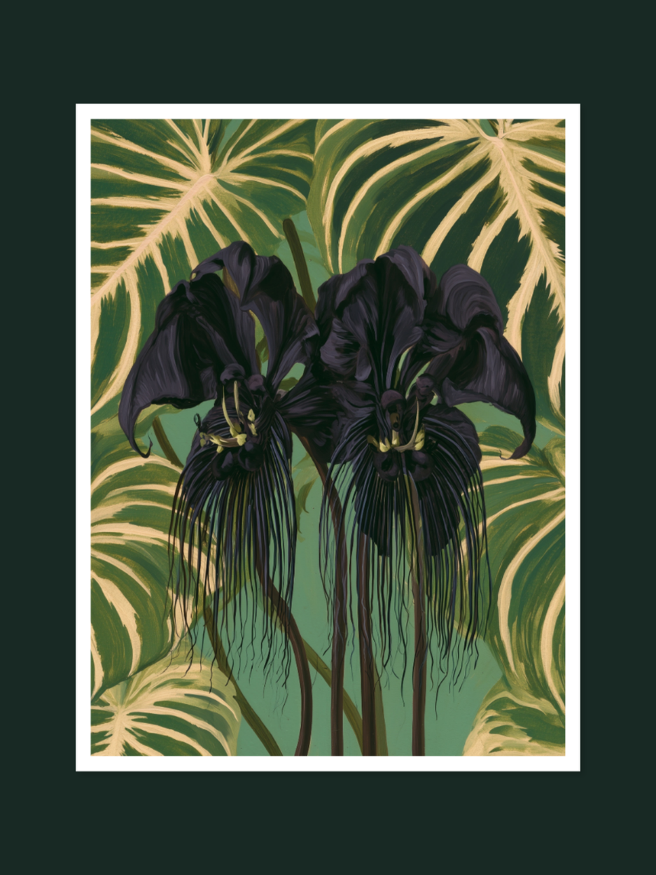 Bat Flower 1402