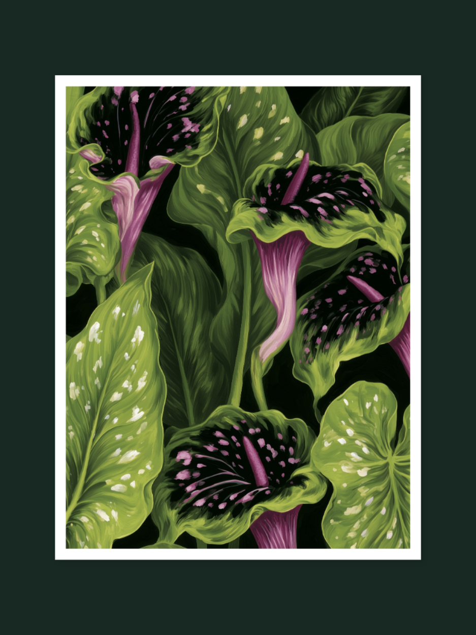 Voodoo Lily 1861