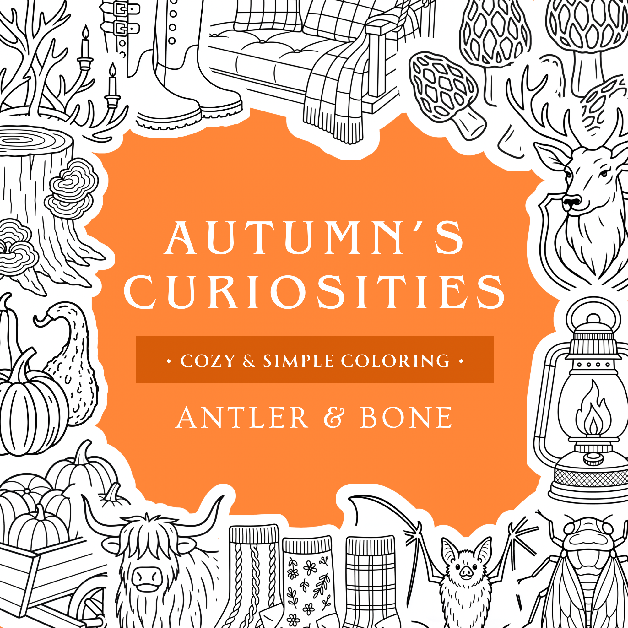 Autumn’s Curiosities