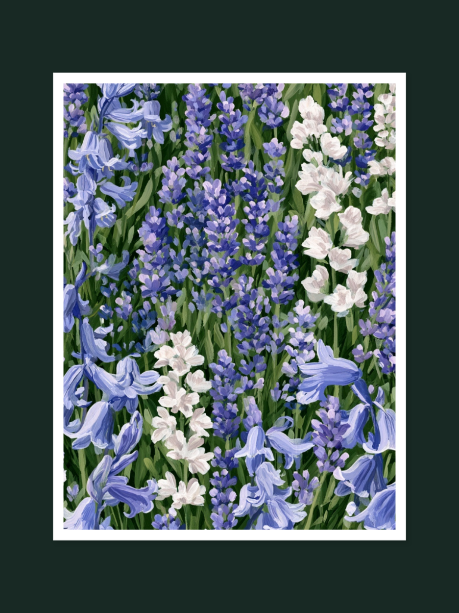 Bluebells And Lavender 1219