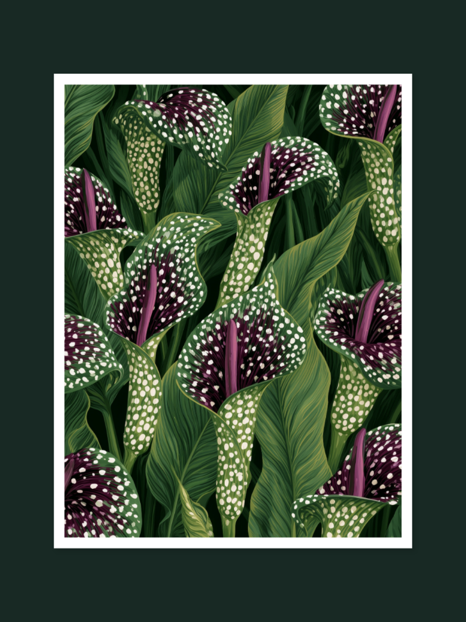 Voodoo Lily 1614