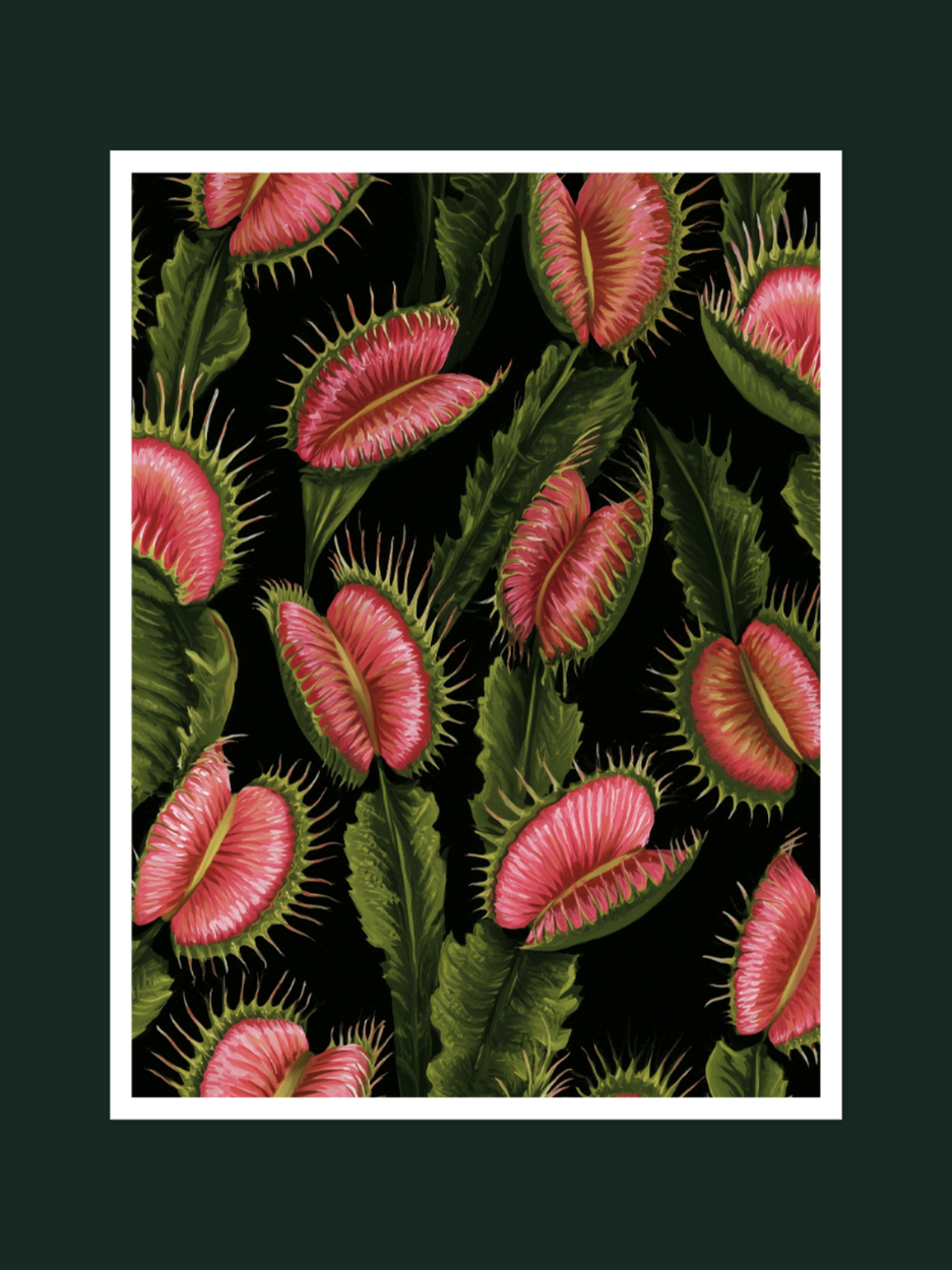 Venus Flytrap 1739