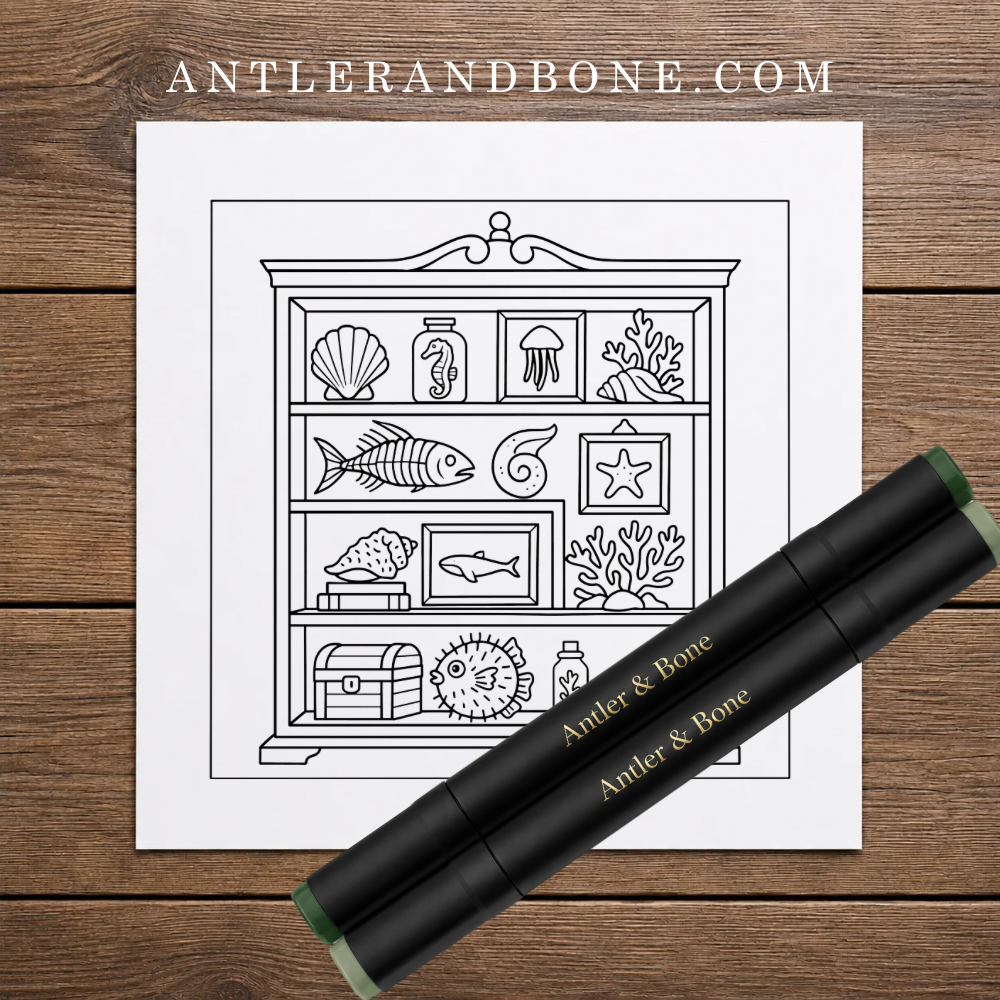 Coloring Book Features.png