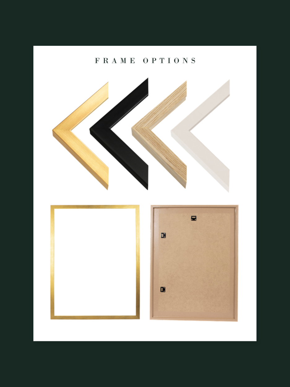 FRAME OPTIONS.png