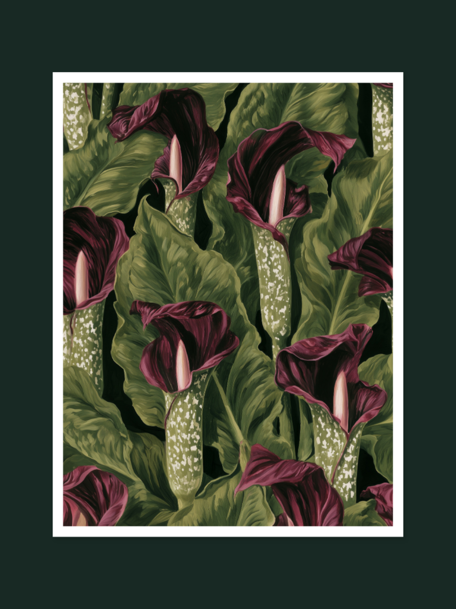 Voodoo Lily 1193