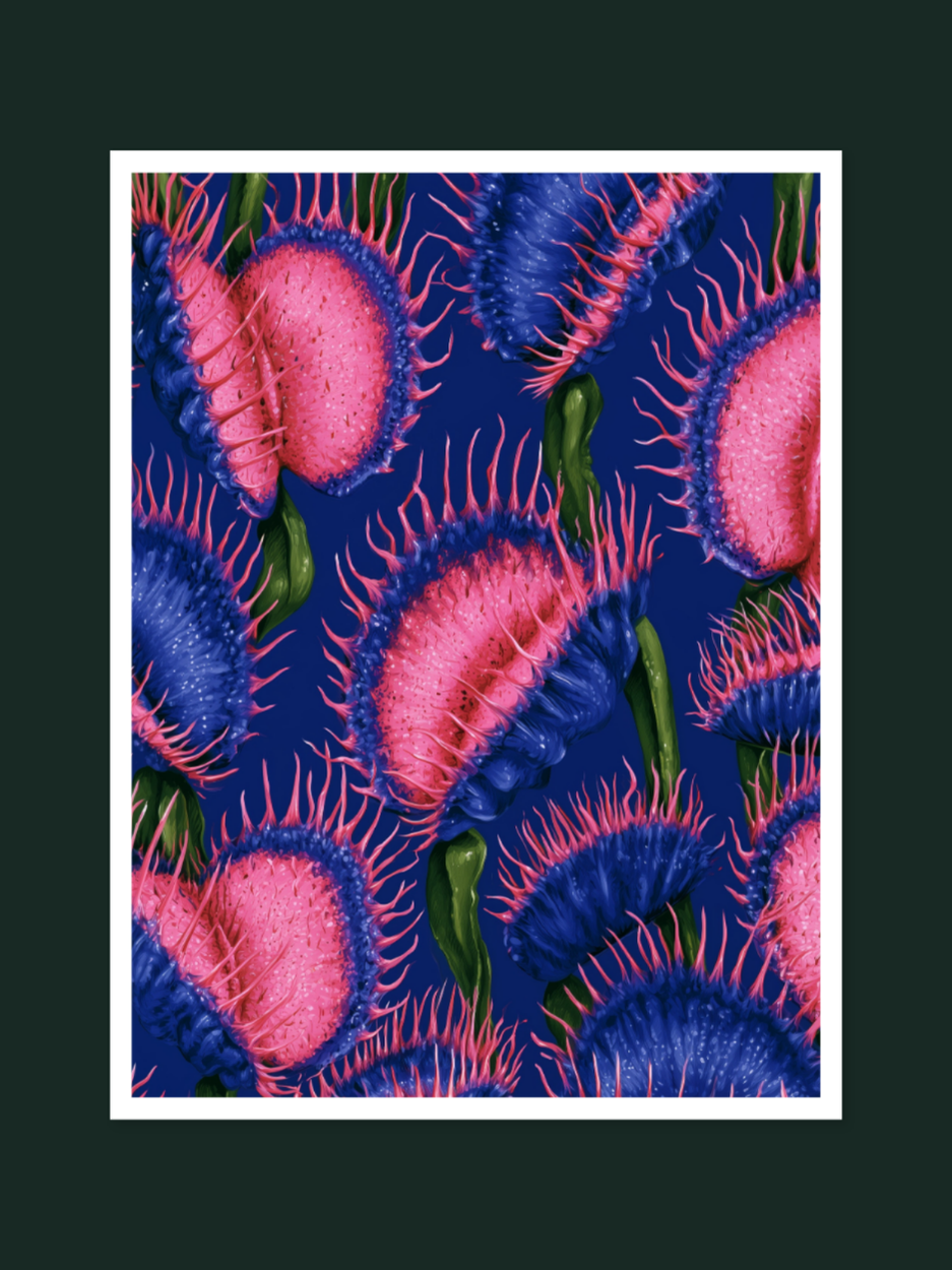 Venus Flytrap 1586
