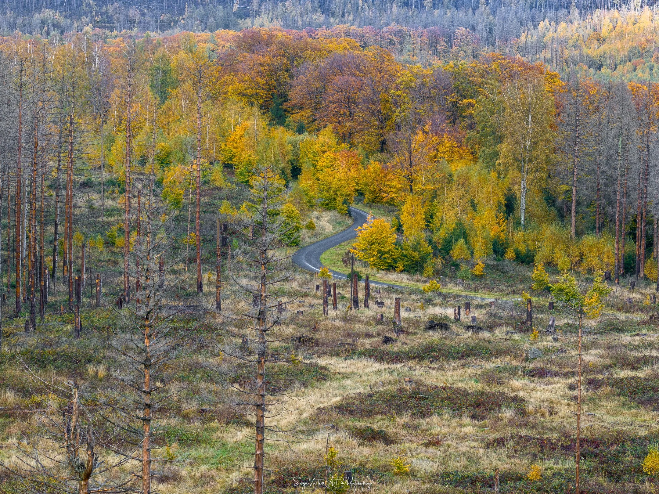 DJI_20231028163441_0001_D-Enhanced-NR-2.jpg