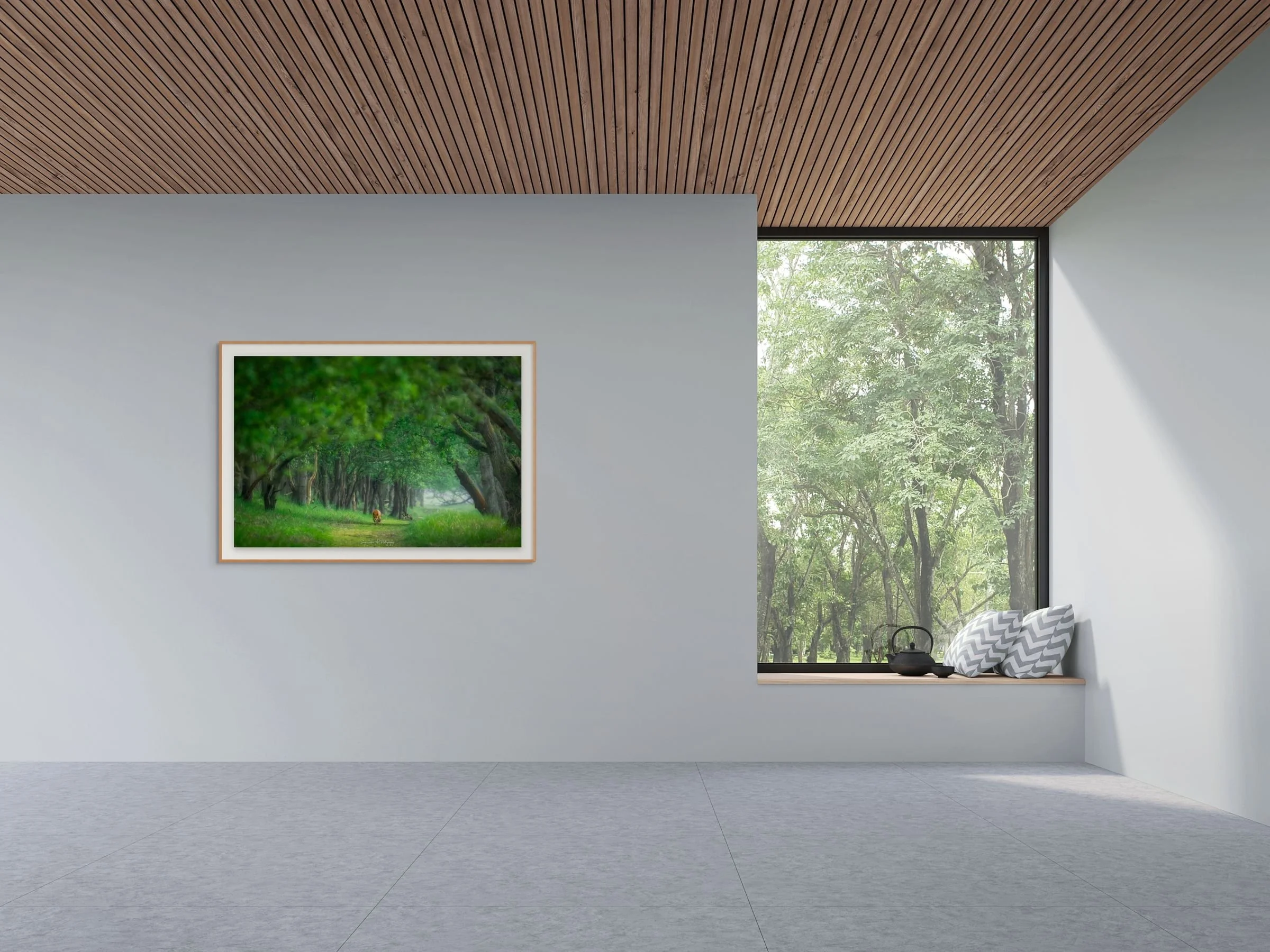 the fox in the forest-large.jpg