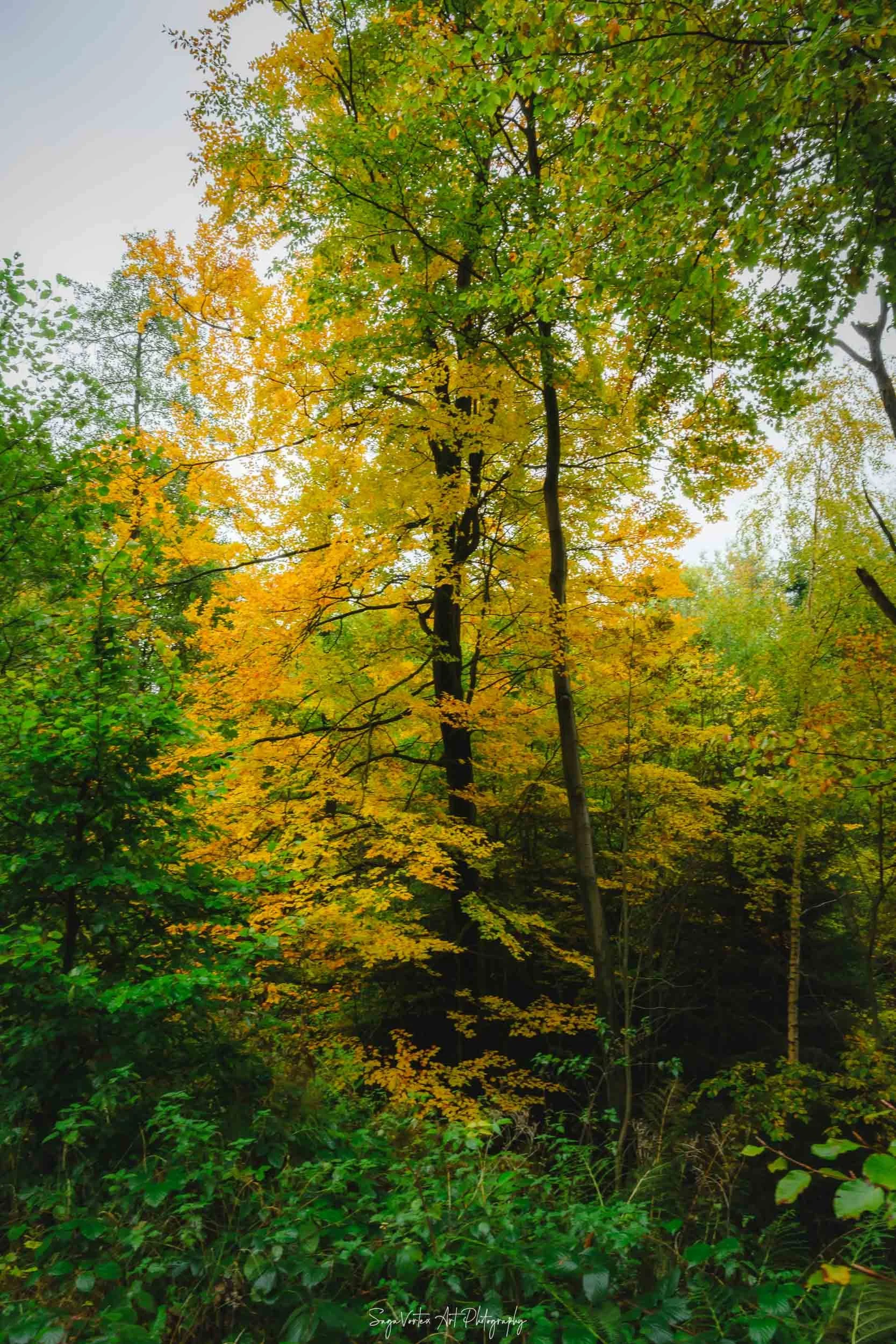 SYS_4290.jpg