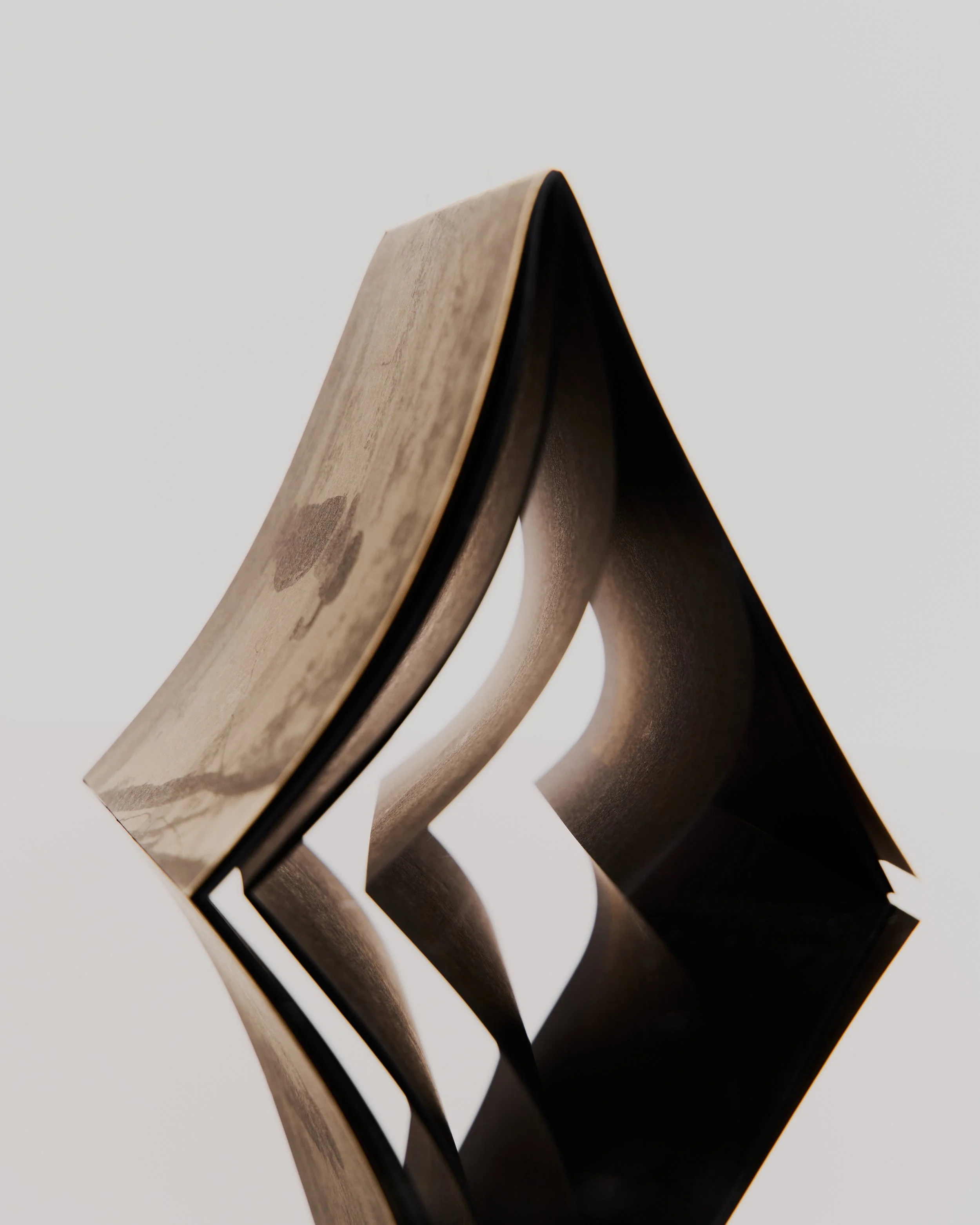 Twist - 08292024 - Grade Solomon4703.jpg