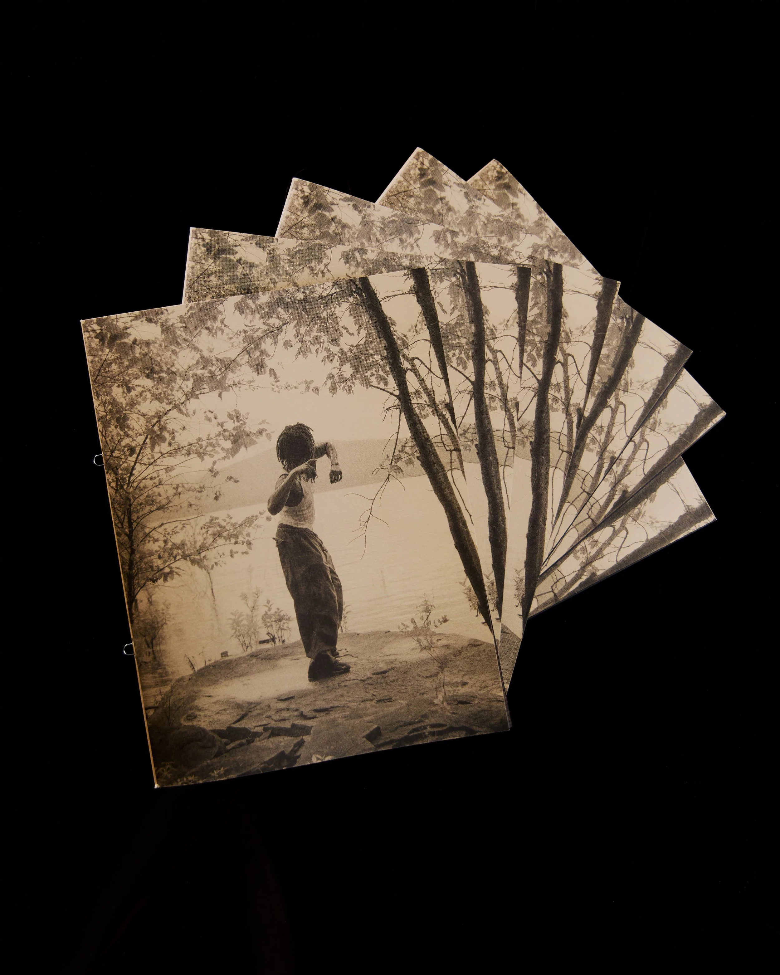 Twist - 08292024 - Grade Solomon4746.jpg