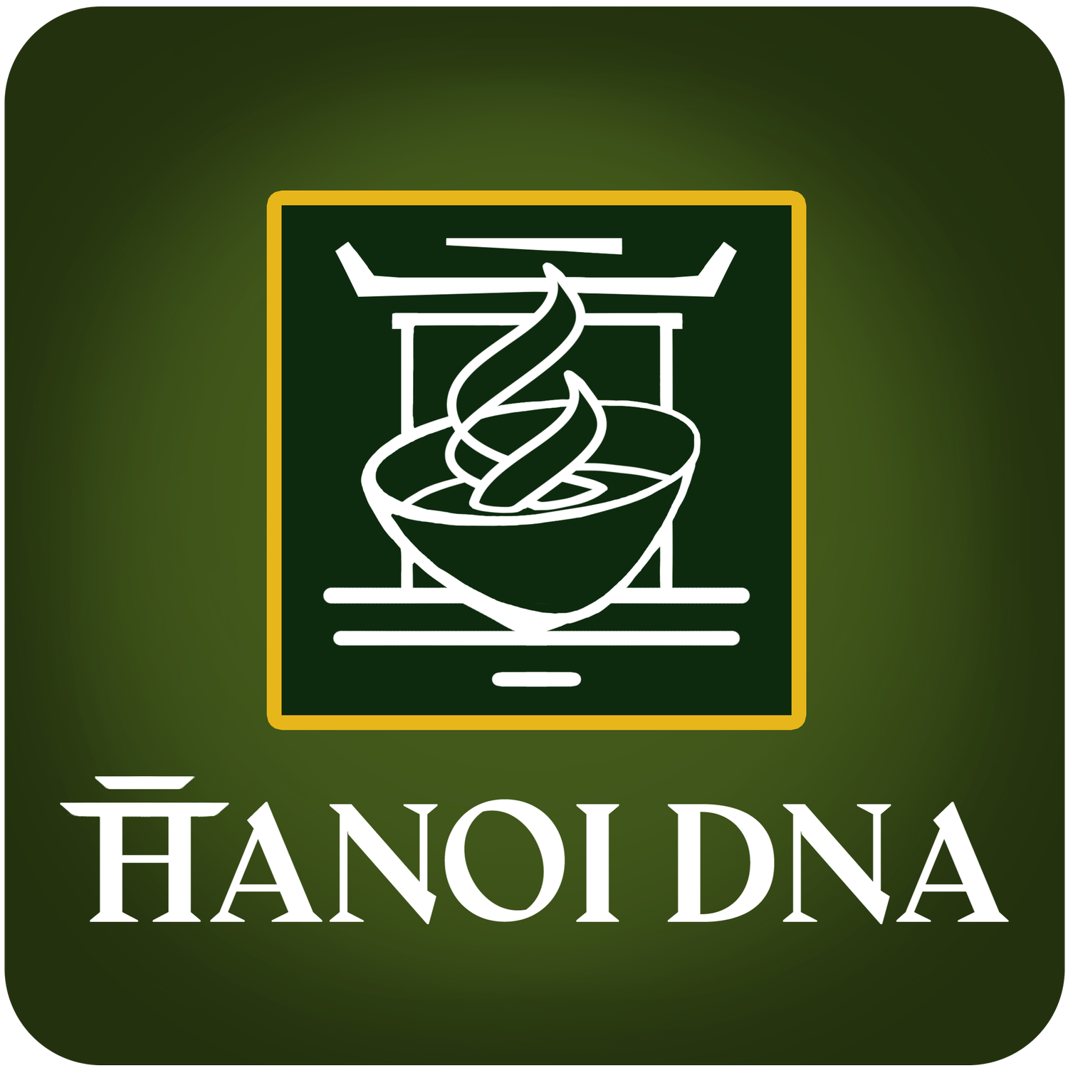 Hanoi DnA
