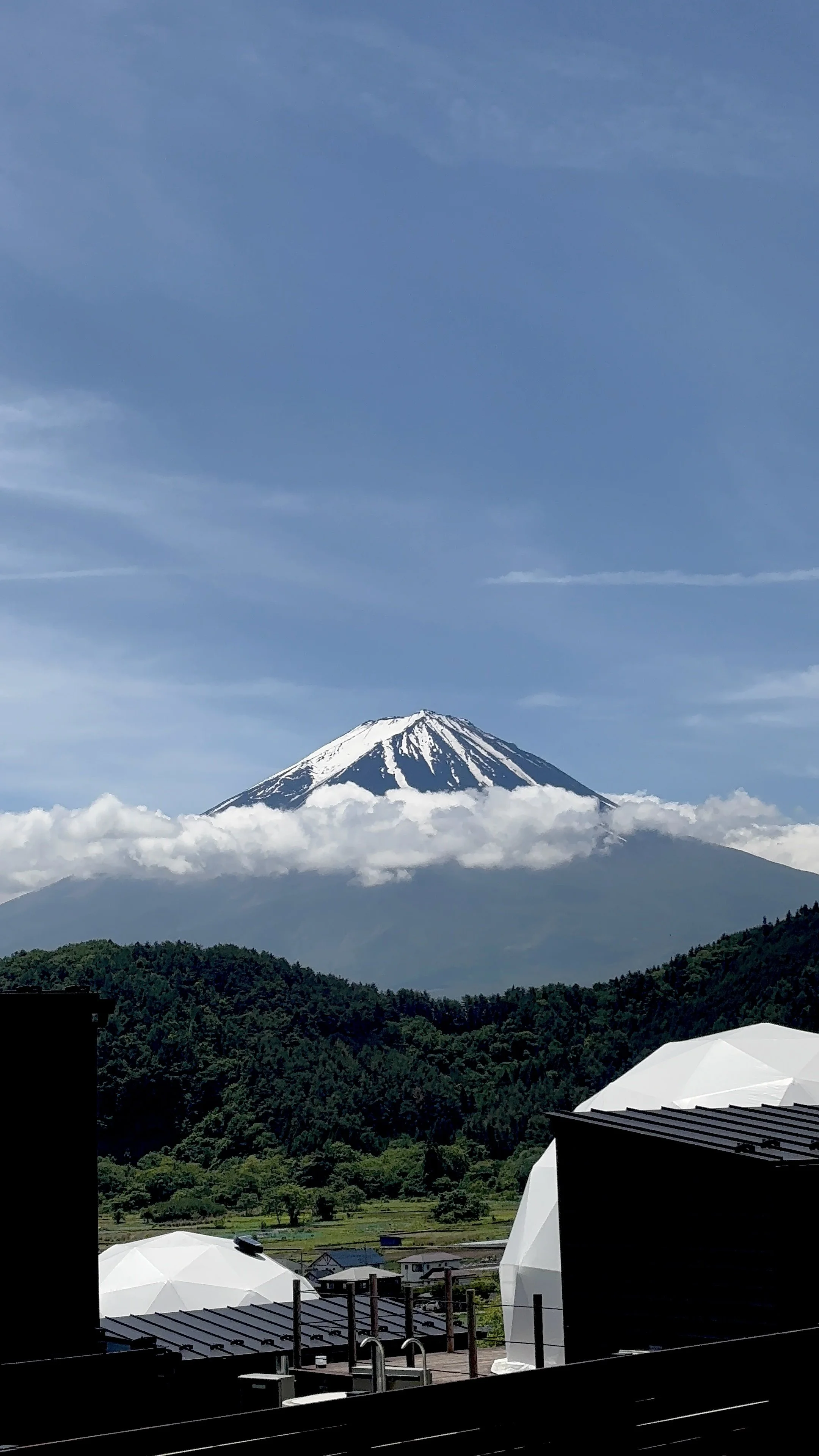IMG_3220.jpeg