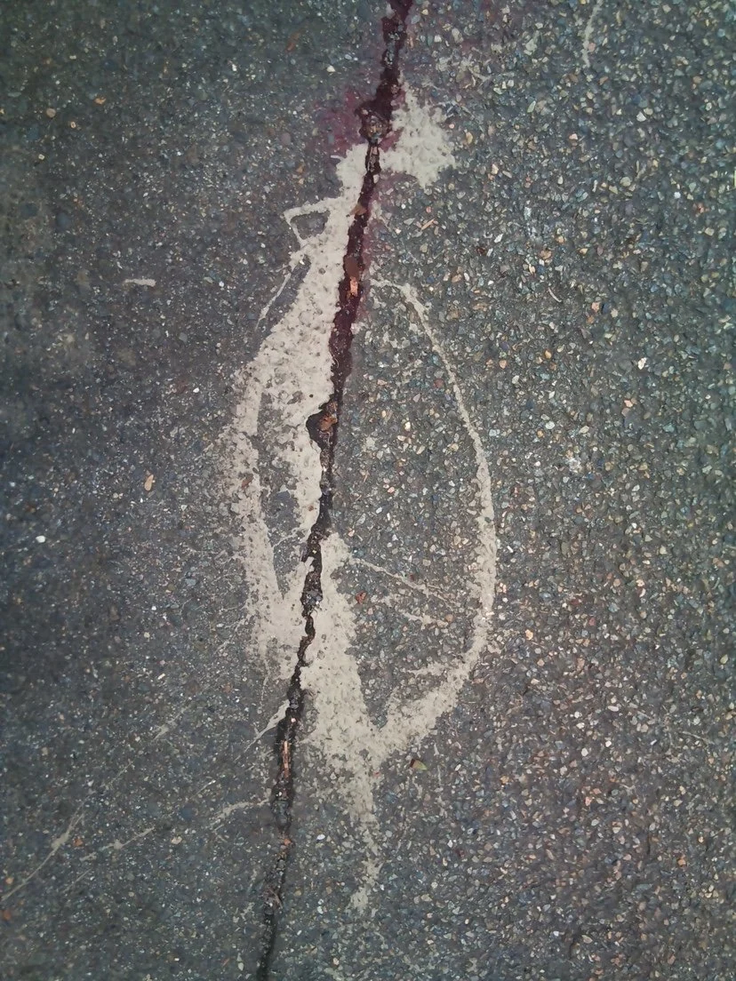 Pregnant - Chapman Lane, Sydney