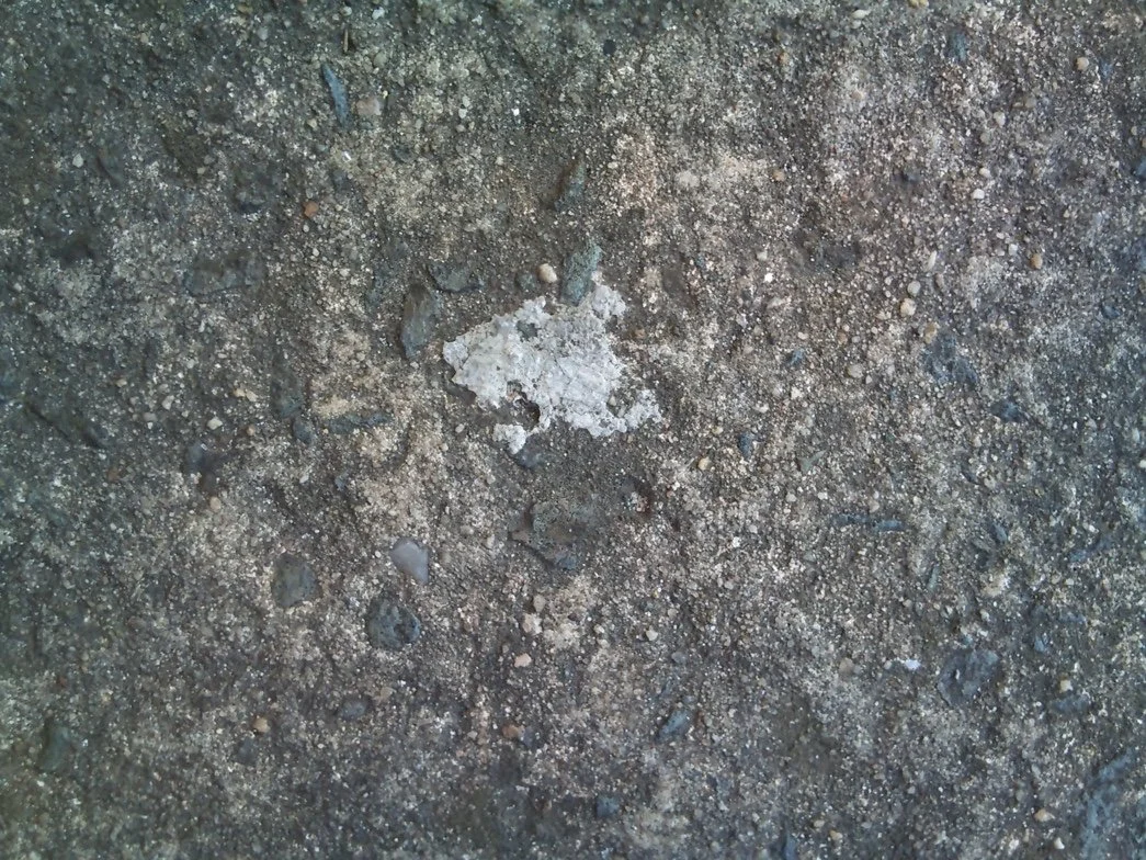 Lion - Fitzgerald Avenue, Sydney