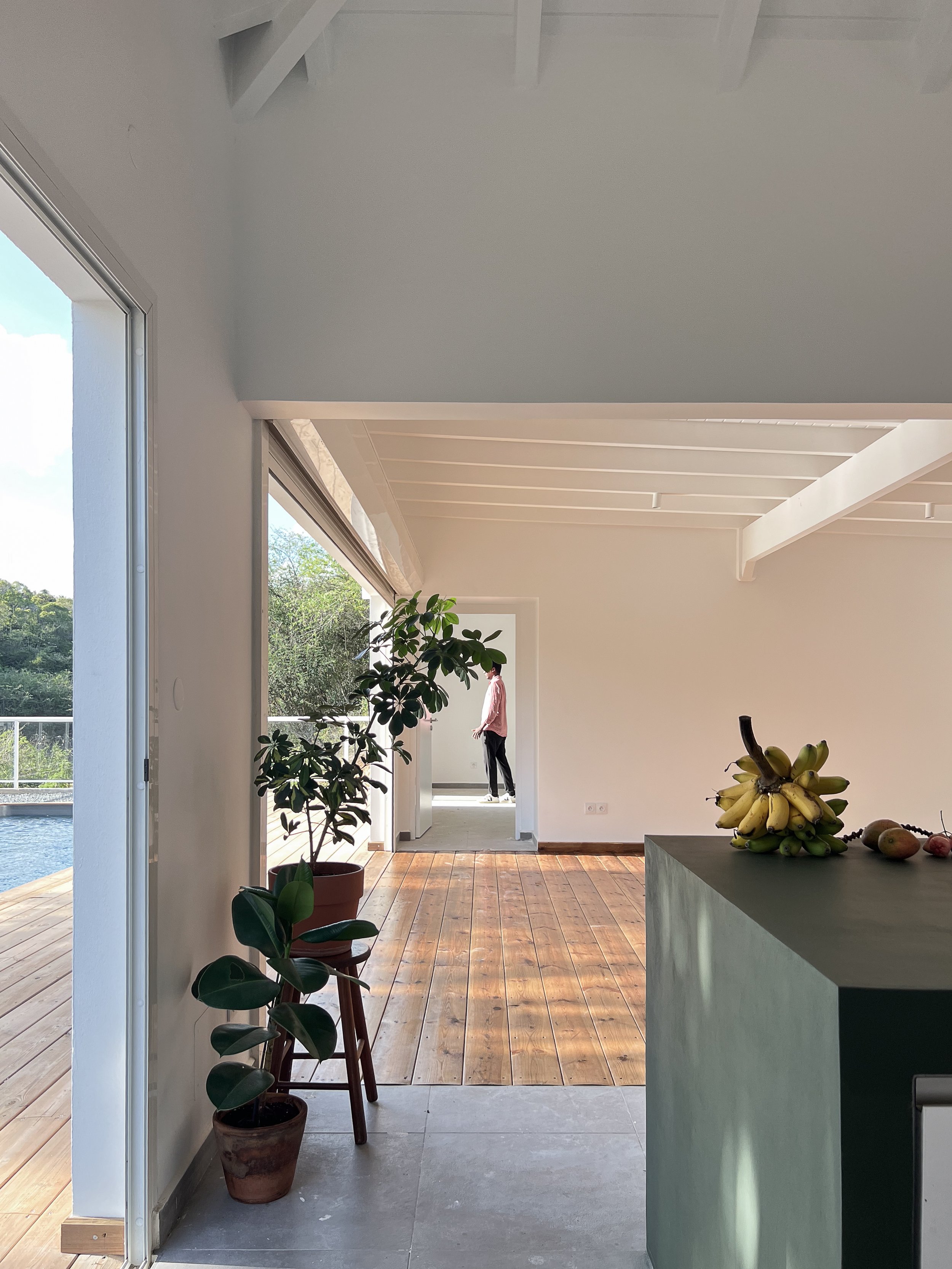 Intérieur moderne avec plantes en pot, une table avec des bananes, située près d'une porte donnant sur un balcon en bois avec vue sur la nature.
