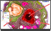 ActivPanel 9