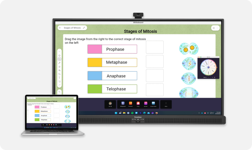 Stages of Mitosis on ActivPanel with connected laptop