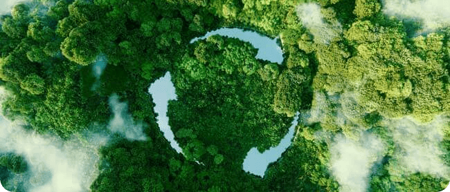 Aerial view of forest shaped like a heart