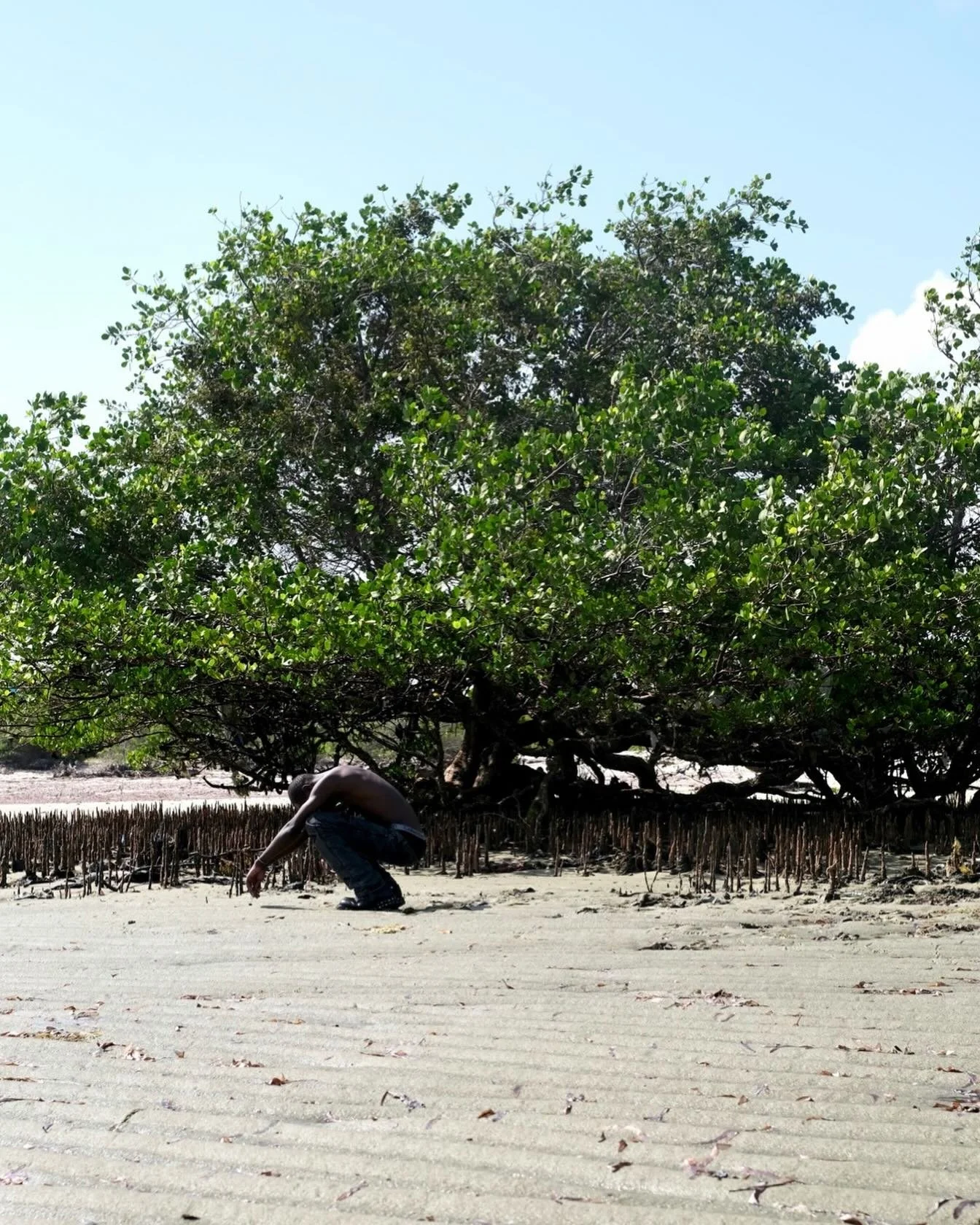 Colonialism fractured our bond with nature  Model and Talent : @heisrobbie  Shot in #daressalaam