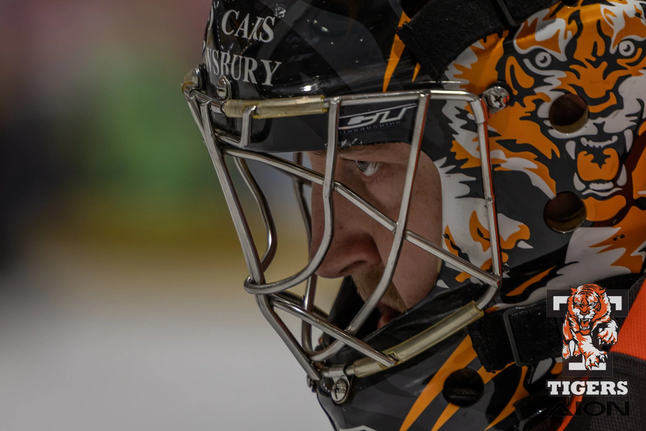 Telford Tigers V Romford Raiders 03/10/2026