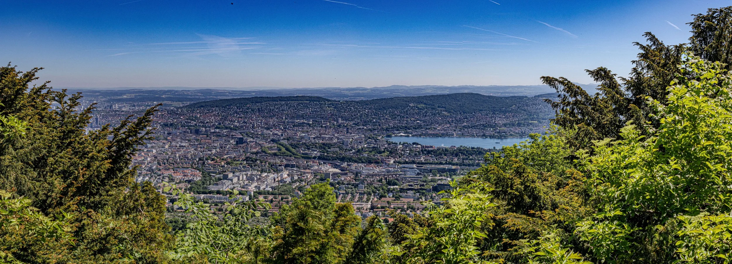 pan 11-2.jpg