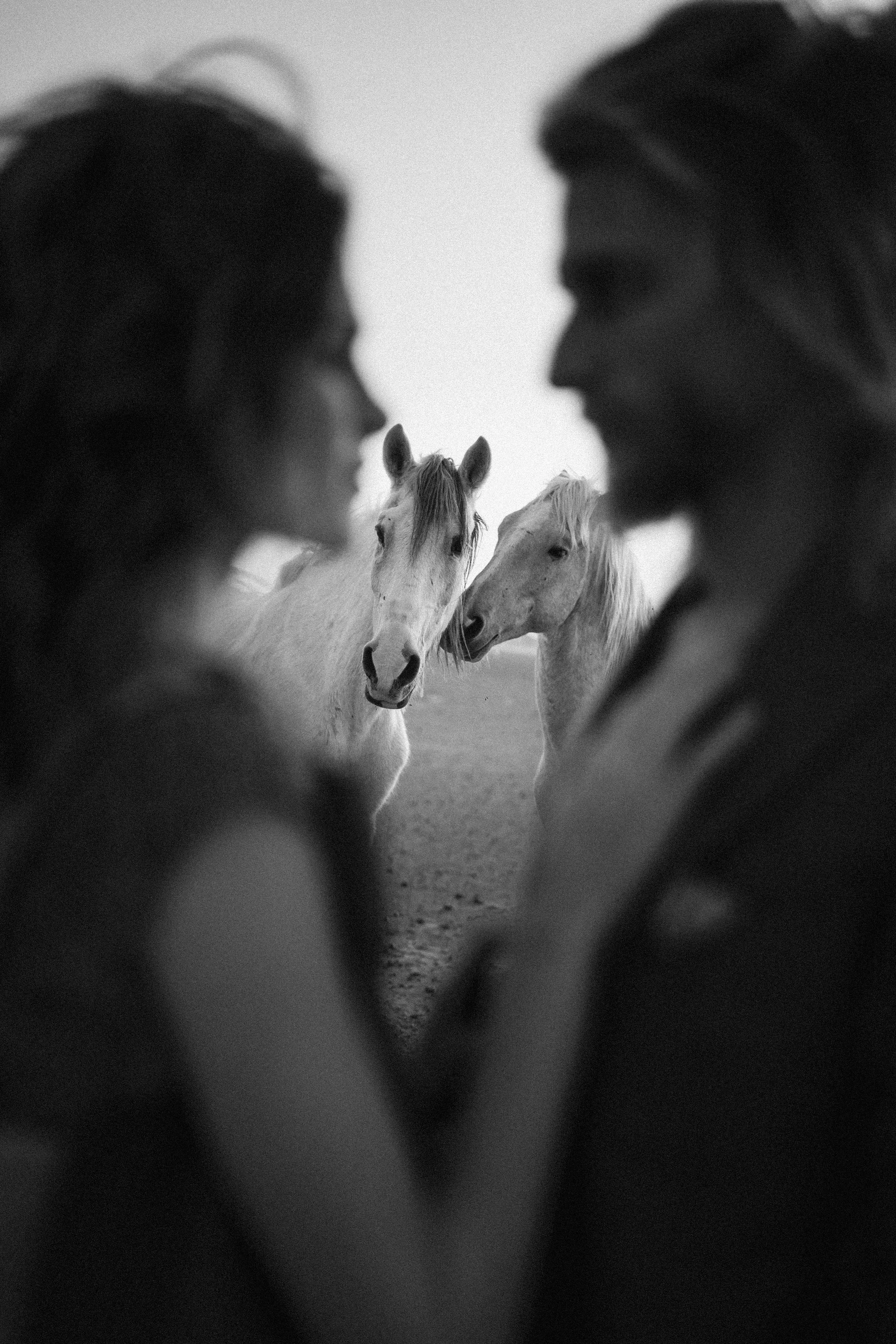 Una pareja se mira con dos caballos en un campo, en una foto en blanco y negro.