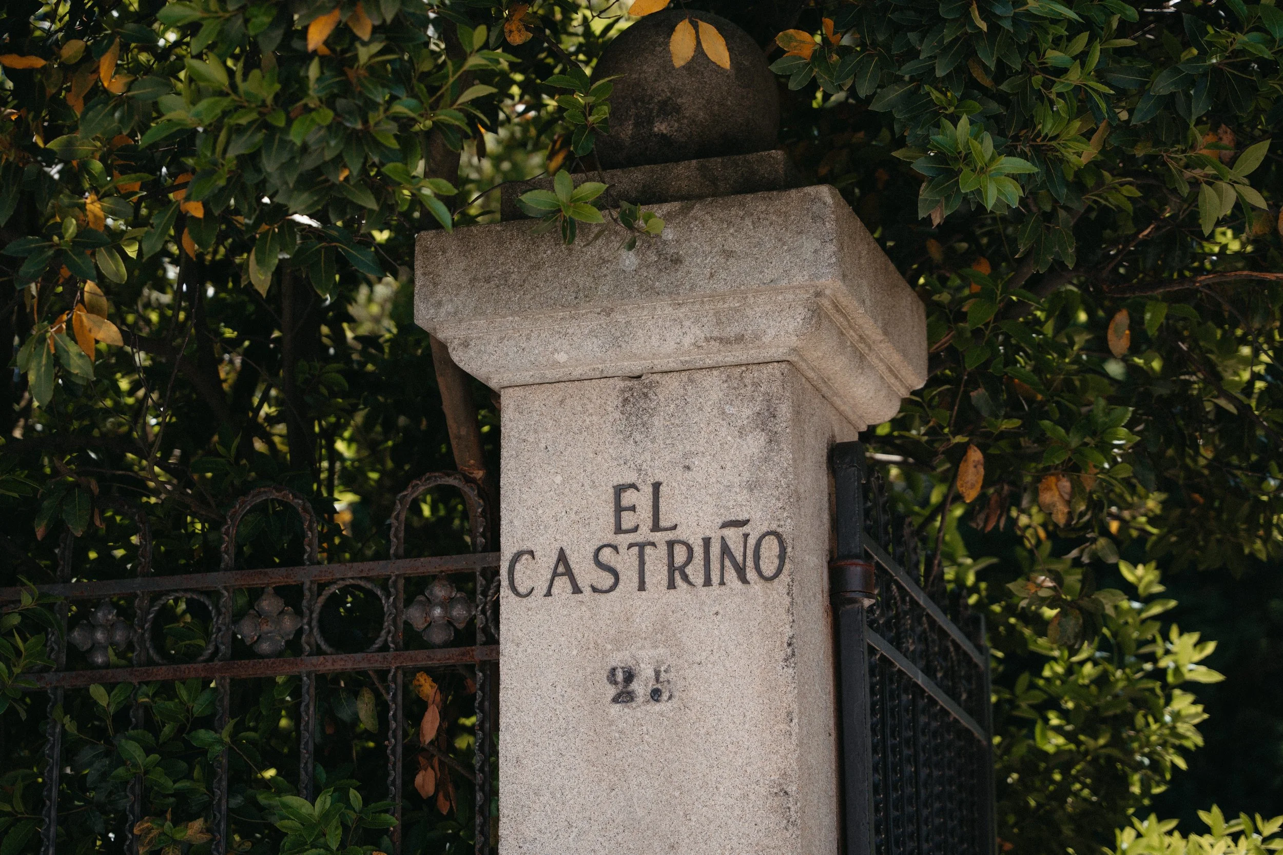 sin título (1 de 1575).jpg