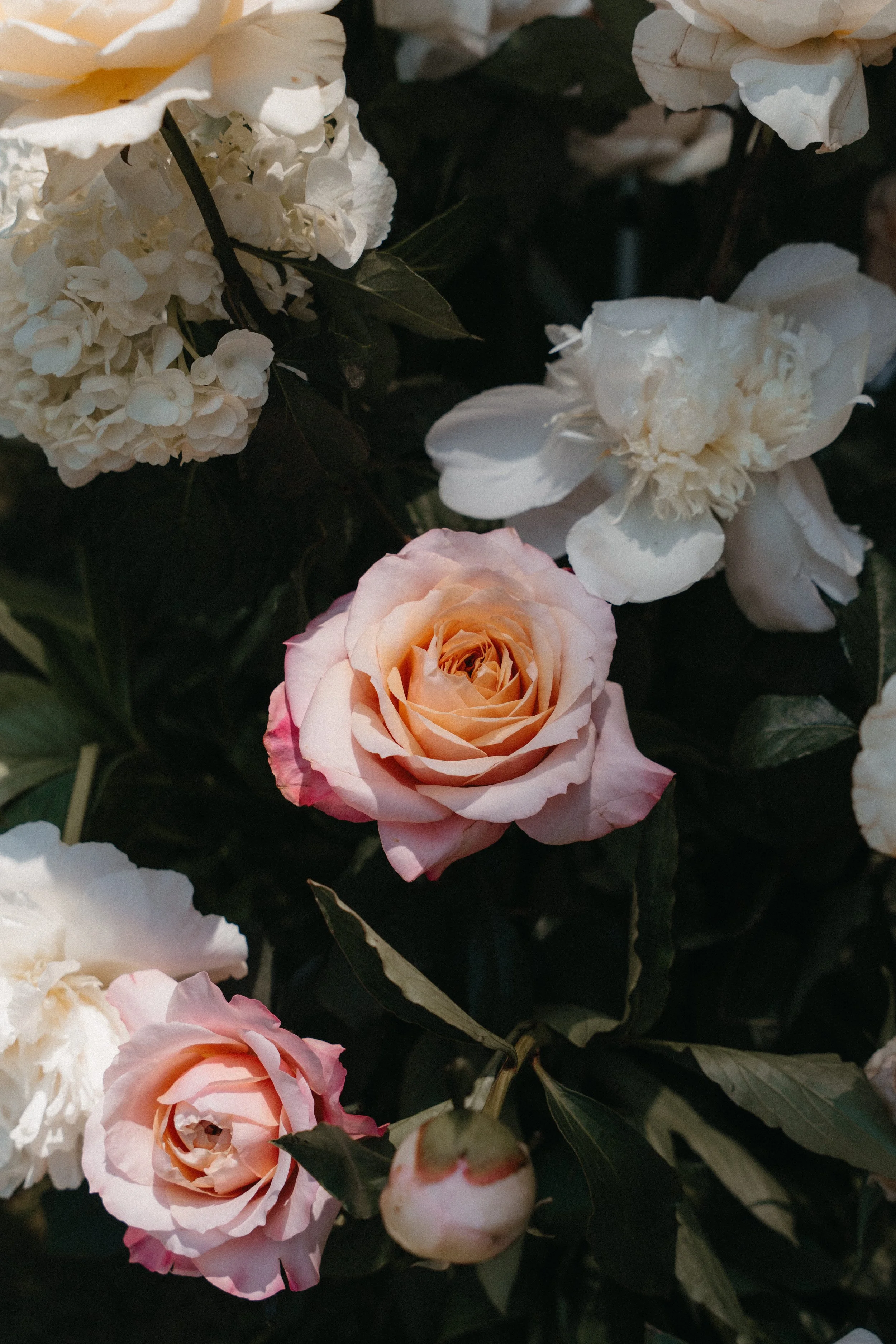 Rosas y hortensias blancas y rosas en un ramo de flores.