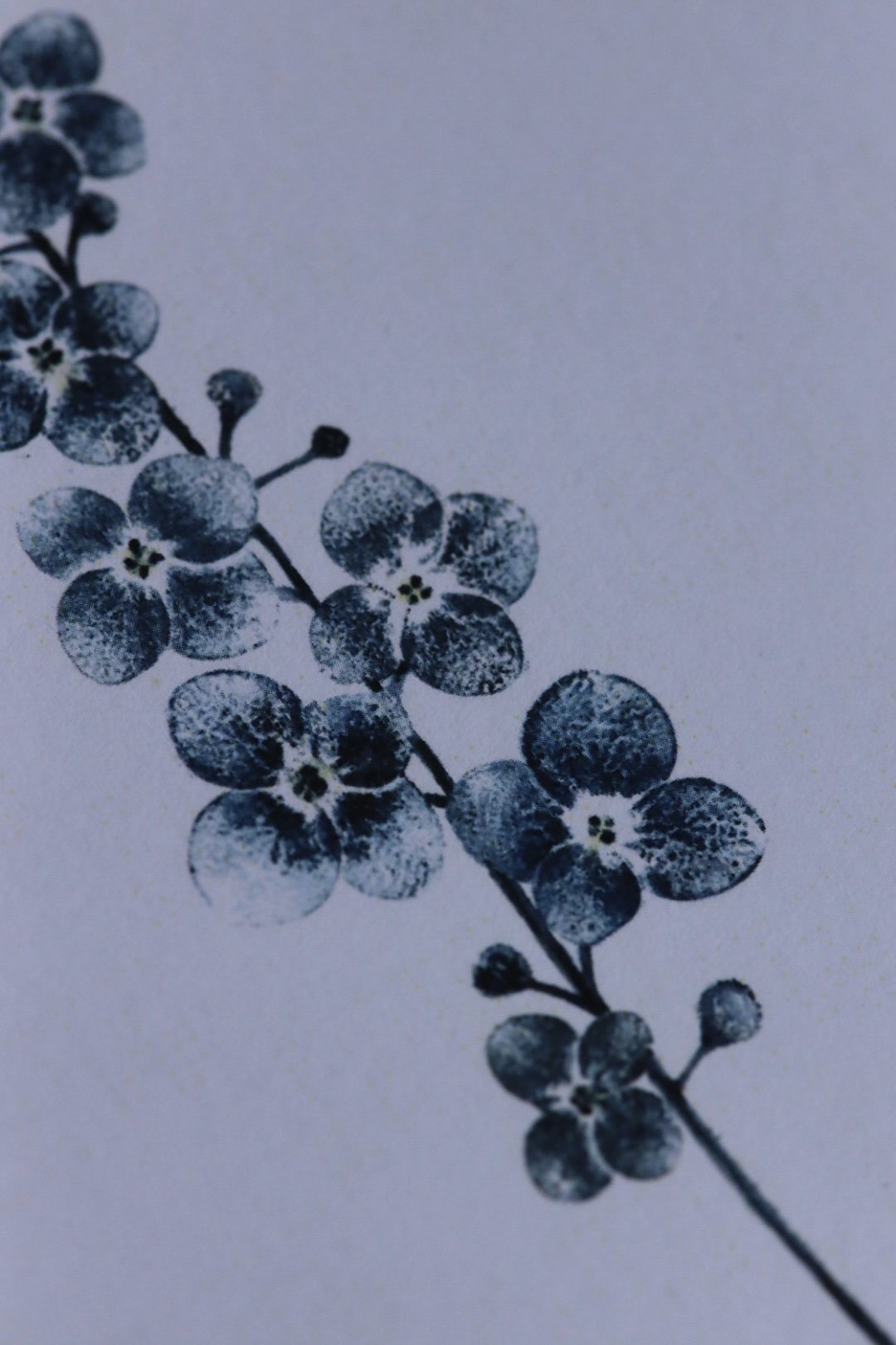 B44277DF-4198-4115-B7DD-9C5D3251EE32.jpeg