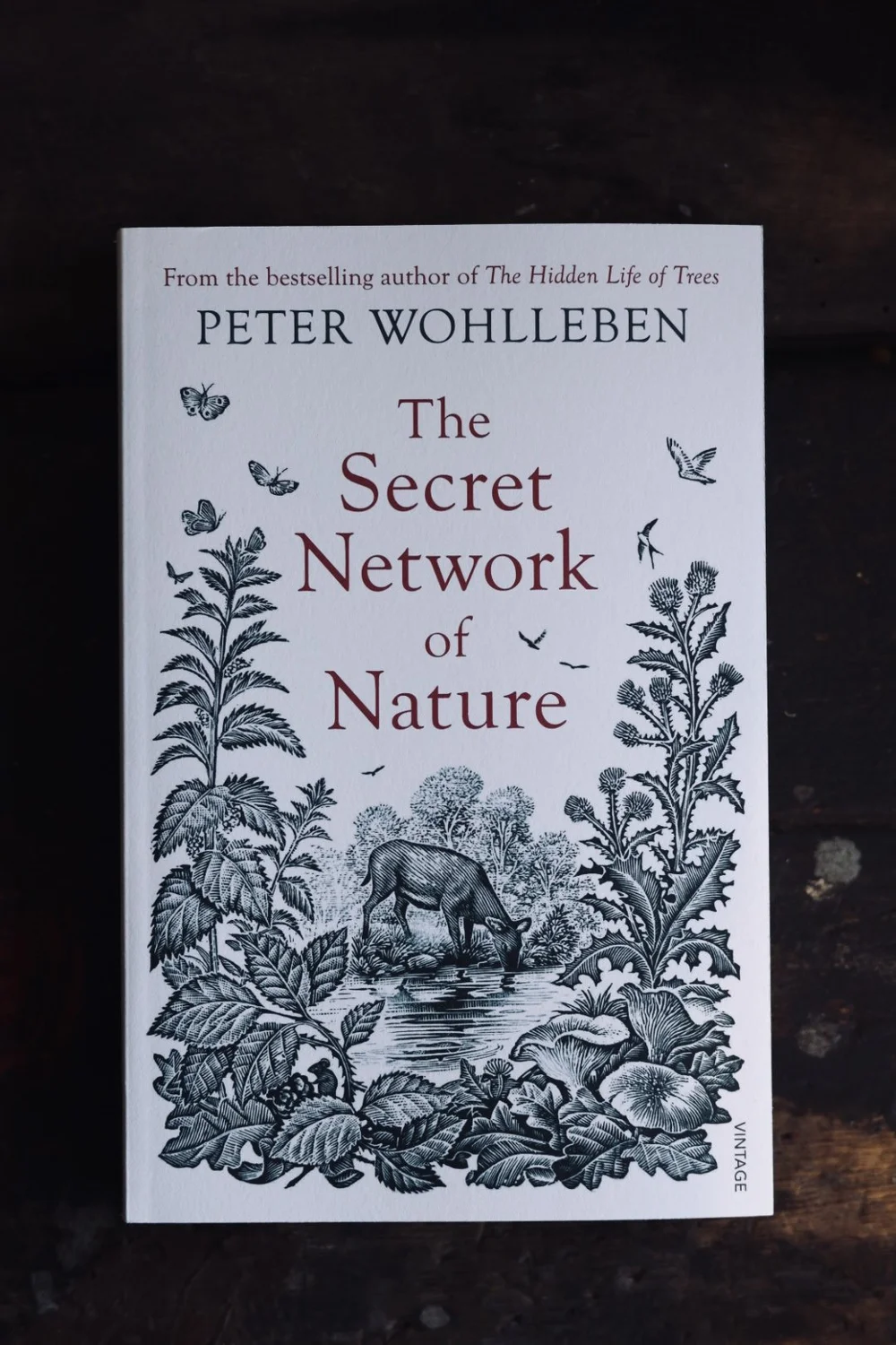 Peter Wohlleben 洋書 3冊セット The Secret Network of Nature' Peter Wohlleben — CRAFTMONGERS
