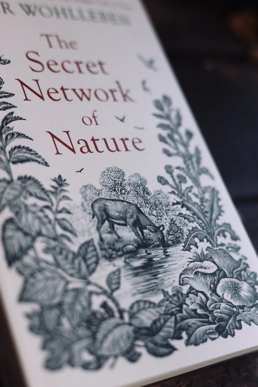 The Secret Network of Nature' Peter Wohlleben — CRAFTMONGERS