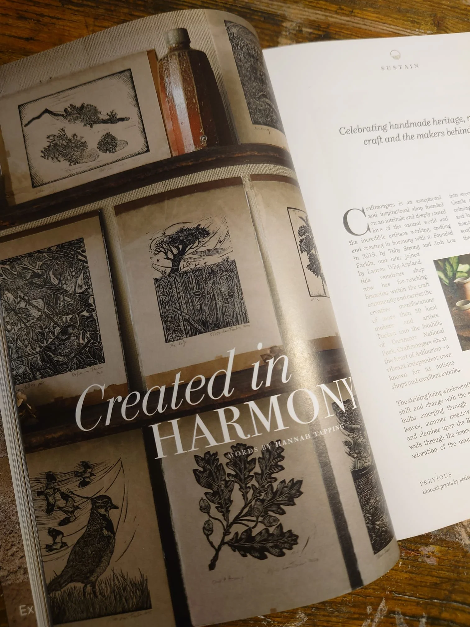 ‘created in harmony’ - our feature in DRIFT journal