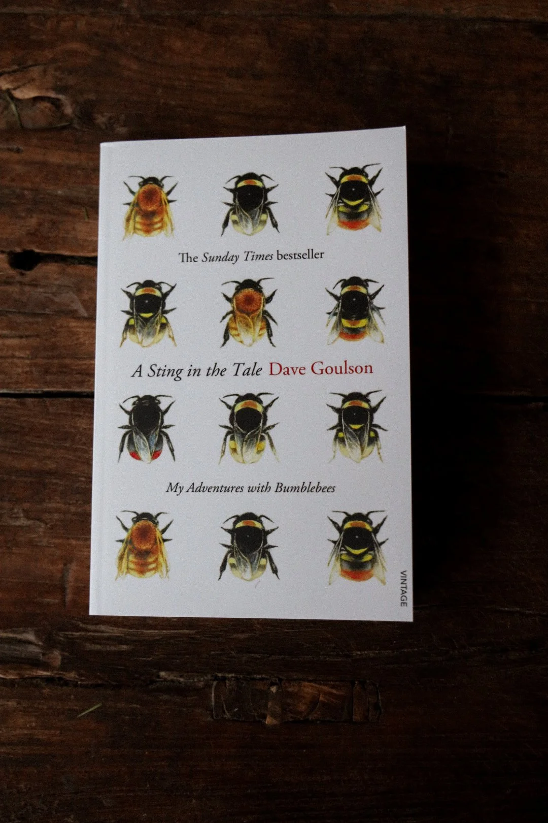 'A Sting In The Tale' Dave Goulson