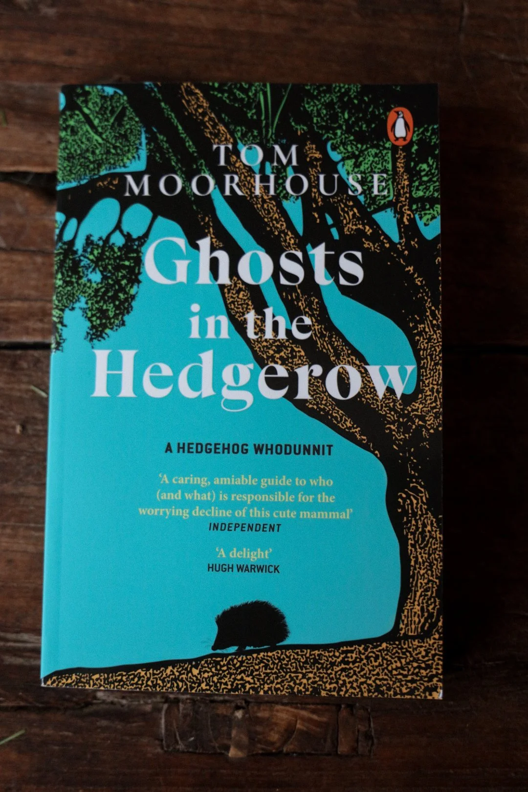 'Ghosts in the Hedgerow' Tom Moorhouse