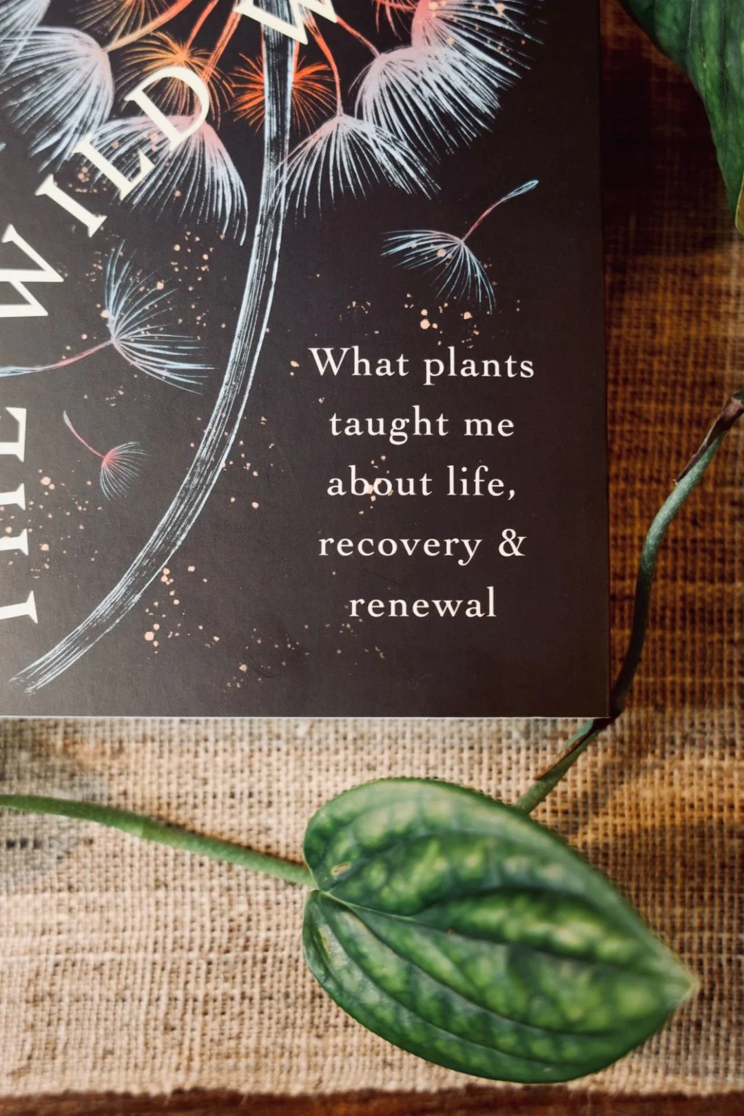 PHOTO-2026-03-07-14-31-10 2.jpeg