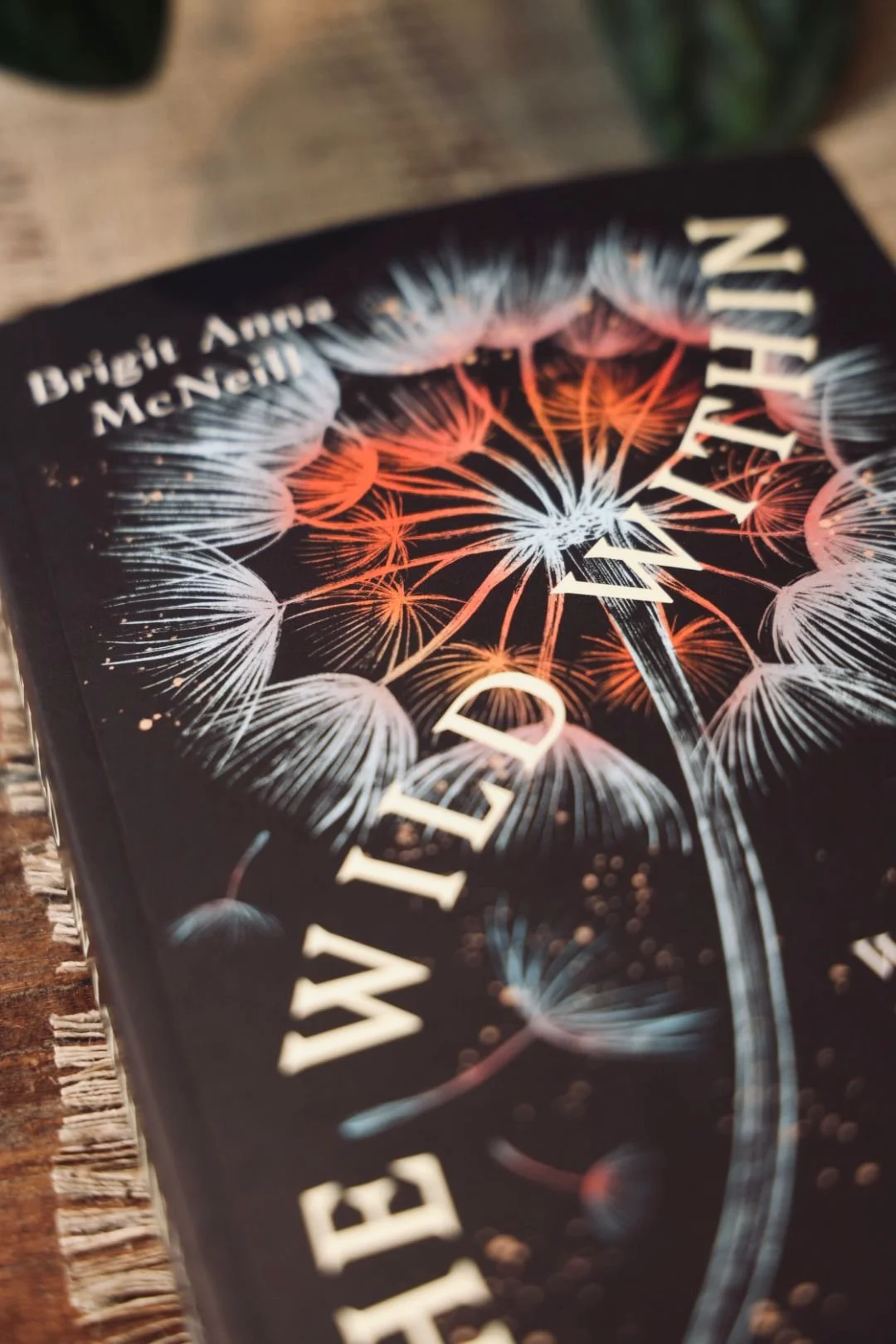 PHOTO-2026-03-07-14-30-06 2.jpeg