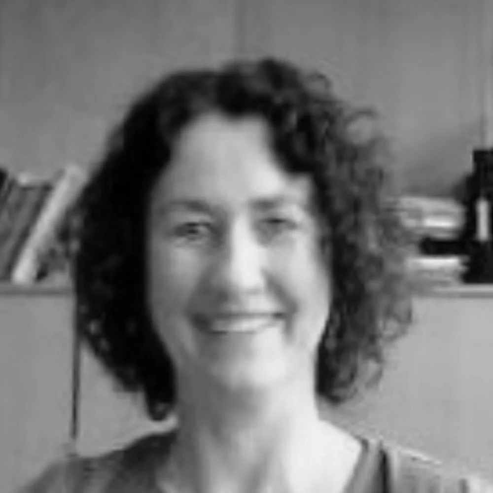 Mags Rafferty Overview — MARAbio