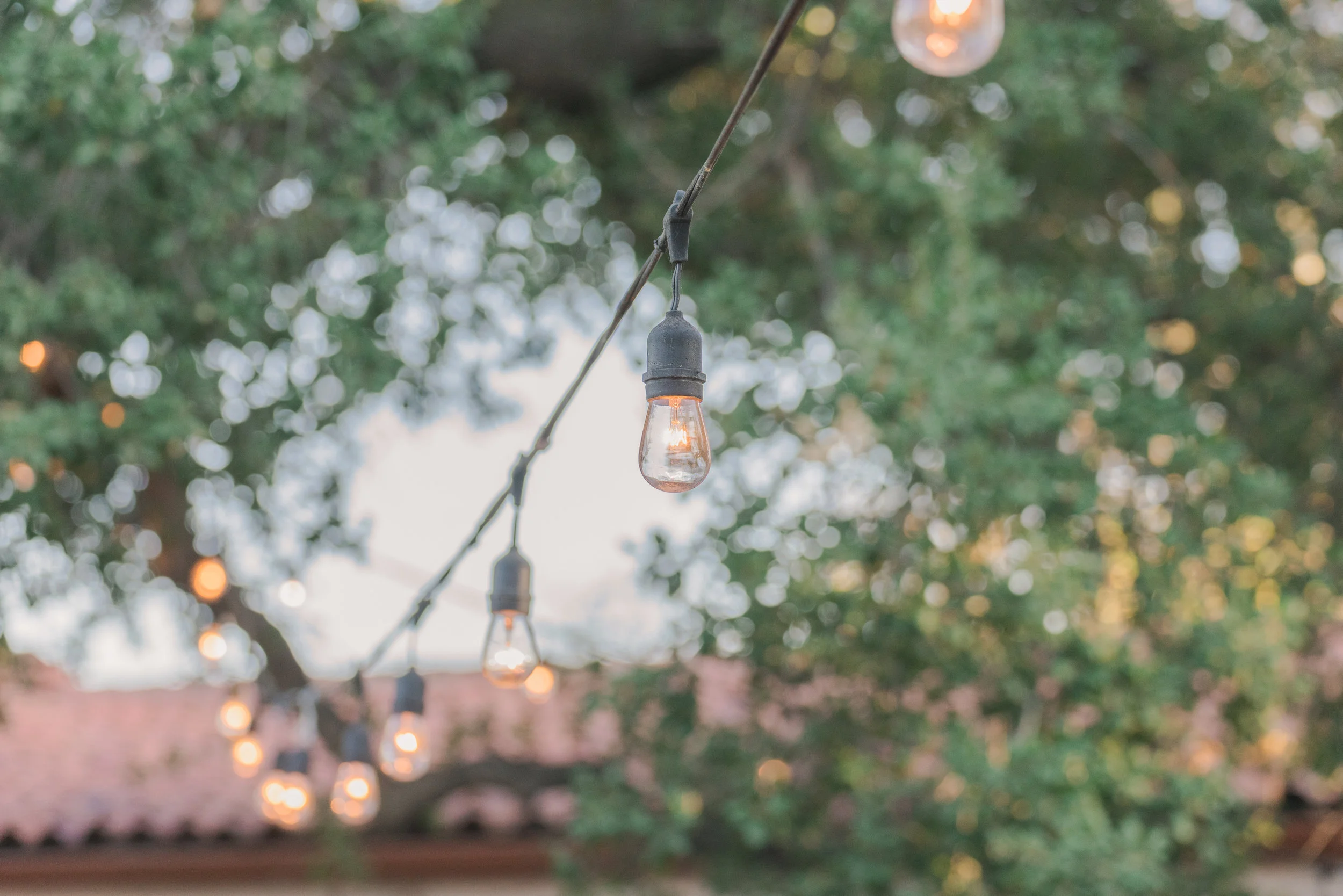 Photographers Picks108.JPG