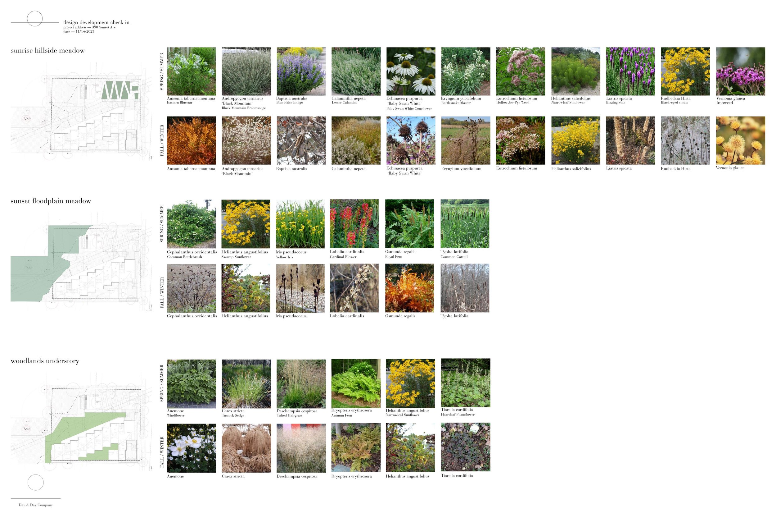 231114_materials- plant palette presentation 24x36_final Page 008.jpg