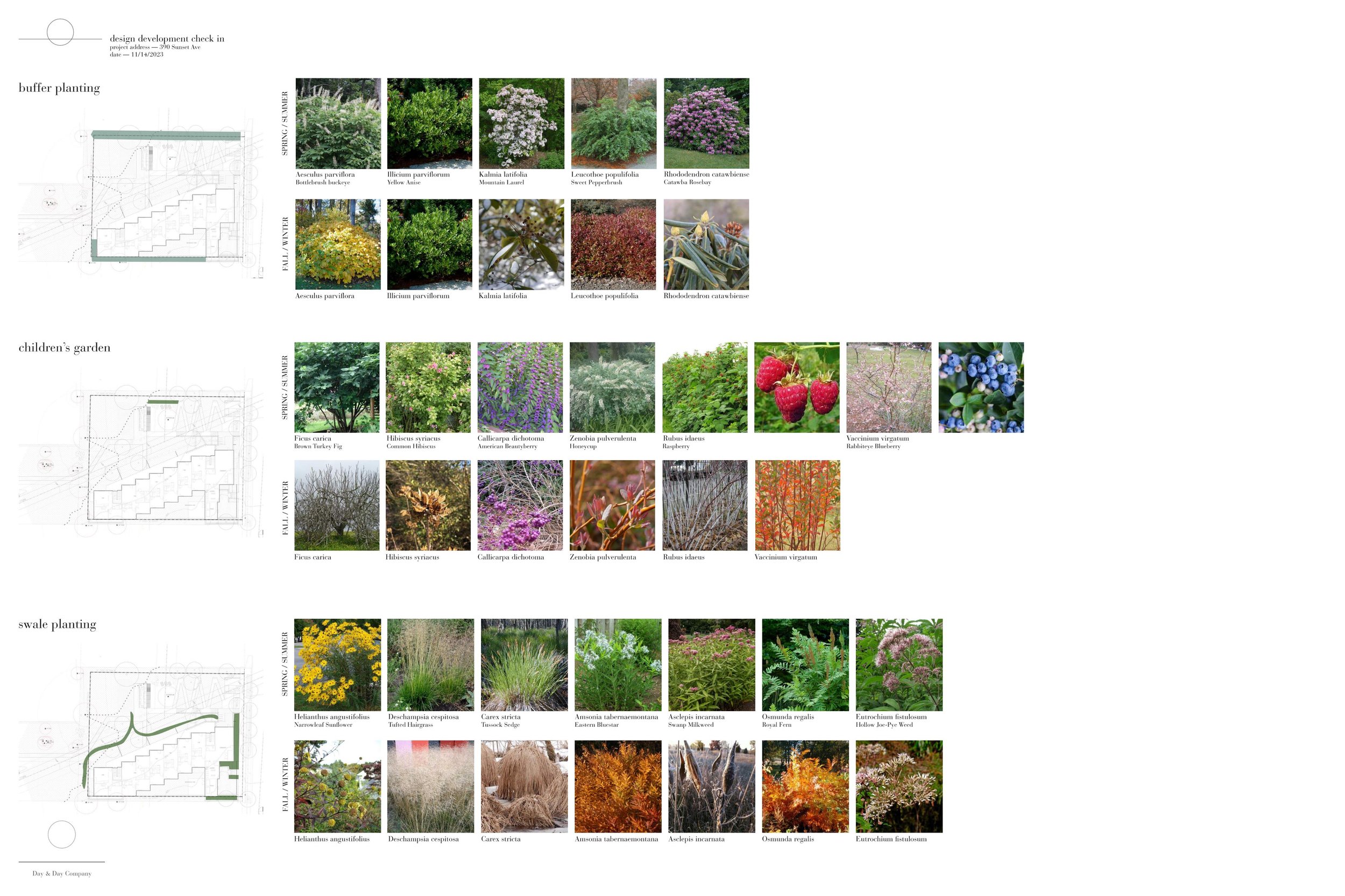 231114_materials- plant palette presentation 24x36_final Page 007.jpg